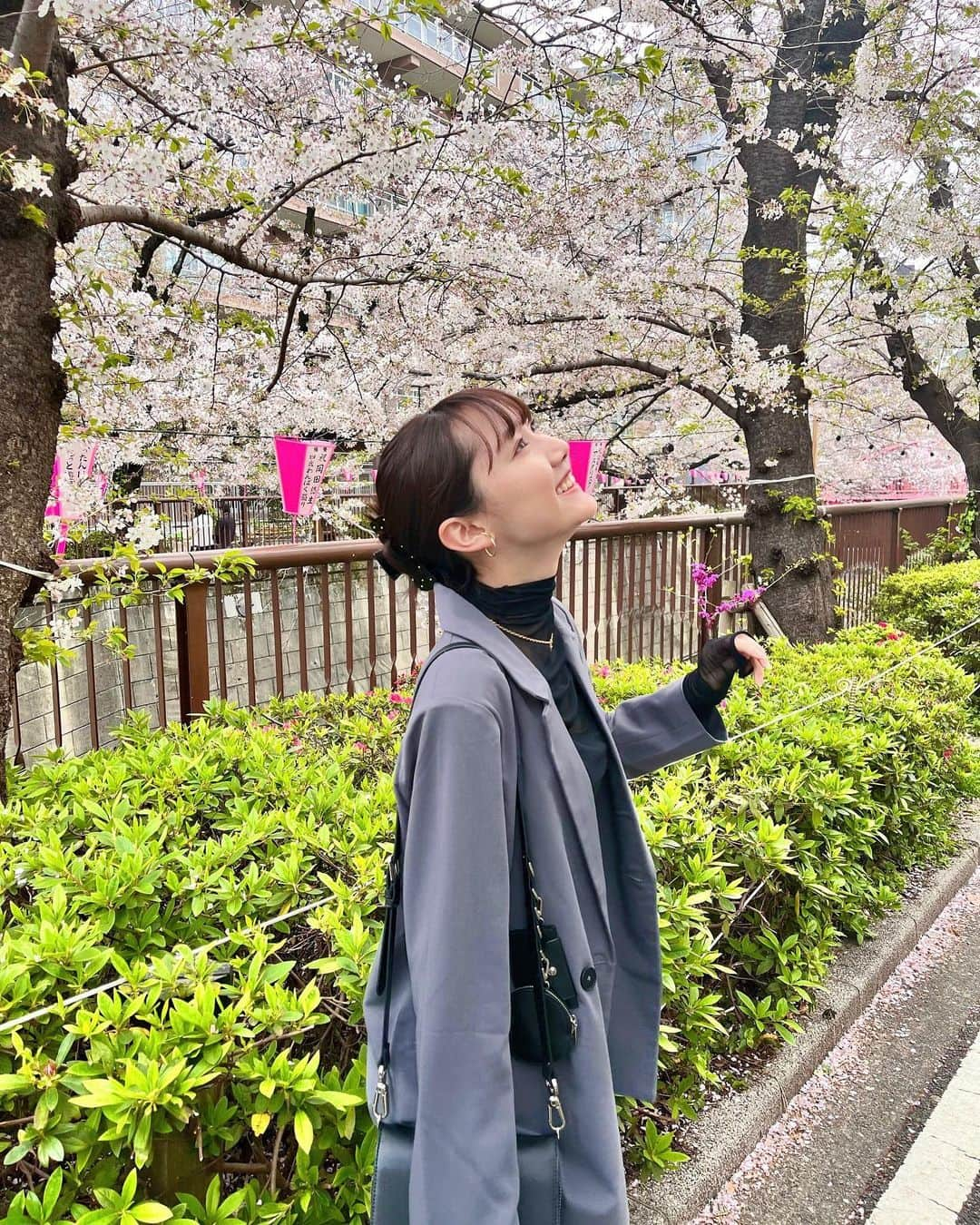 高井真菜のインスタグラム：「🌸🌸🌸」