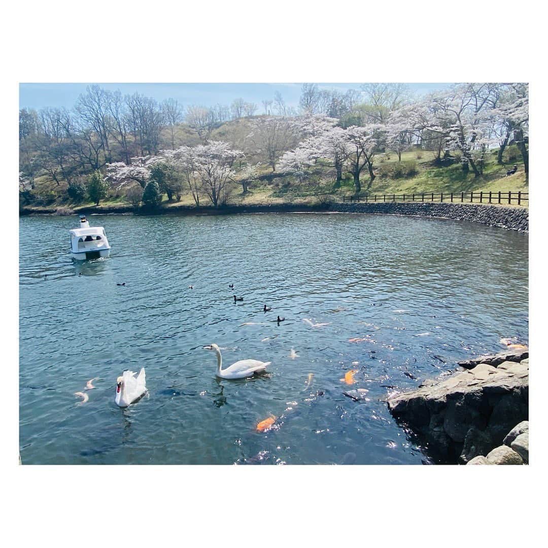 後呂有紗さんのインスタグラム写真 - (後呂有紗Instagram)「* 今日から新年度✨  こちらは先日行った志高湖です🦢🩵 本当に綺麗で、心からリフレッシュできました  新年度も、頑張れそうです♪ 皆さんどうぞ、よろしくお願いします🦢✨  #新年度 #大分　#志高湖」4月1日 20時46分 - ushiro_arisa