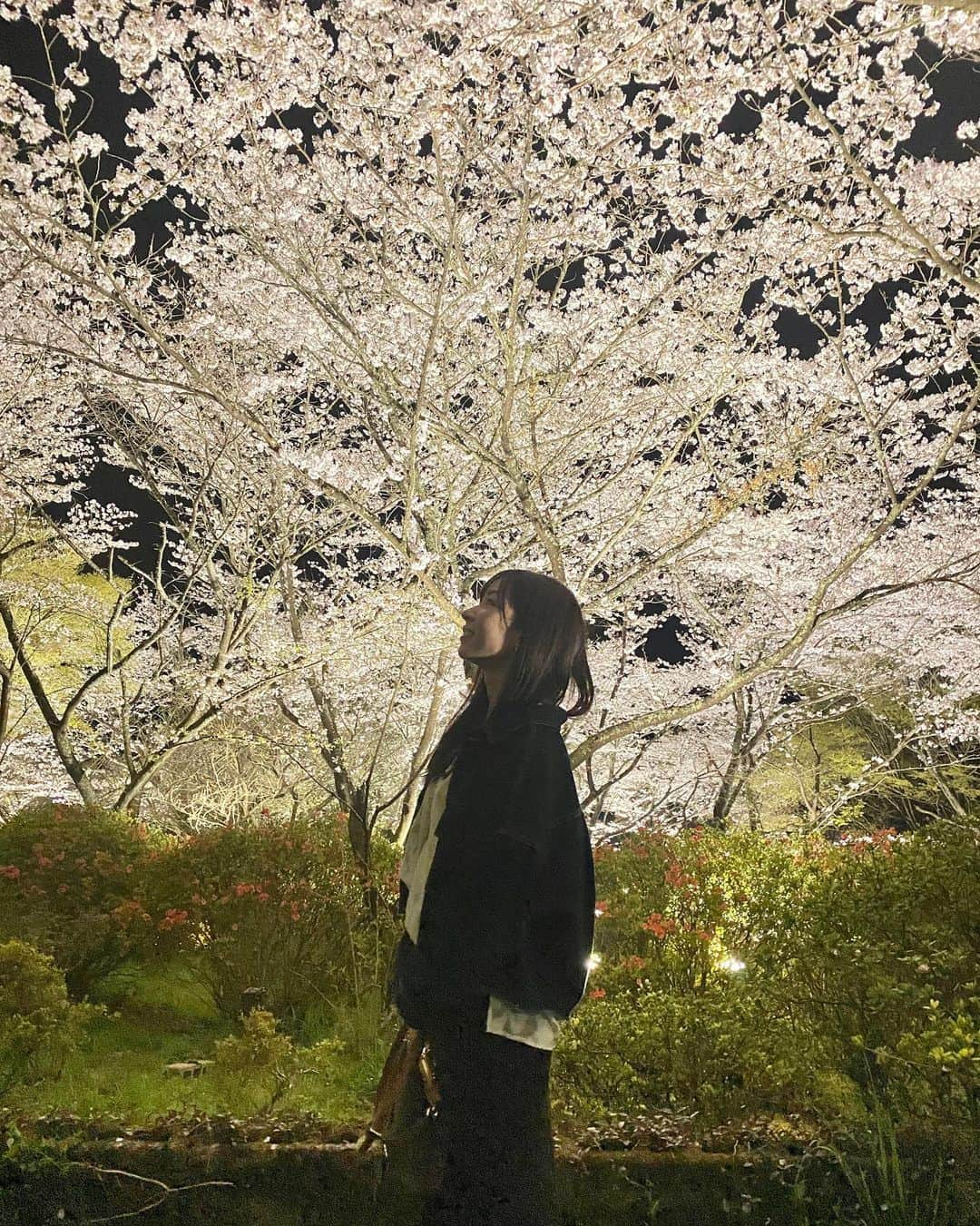 岸田麻佑のインスタグラム：「♡ 夜桜もいいよね🌸 写真撮るのは難しいけどw . 御船山楽園の花まつり🌸 秋の紅葉も凄く綺麗やったけど 桜もまた違って美しい𓍯 1年中楽しめる場所です！ . #お花見 #お花見スポット  #佐賀 #武雄 #佐賀観光  #御船山 #御船山楽園」