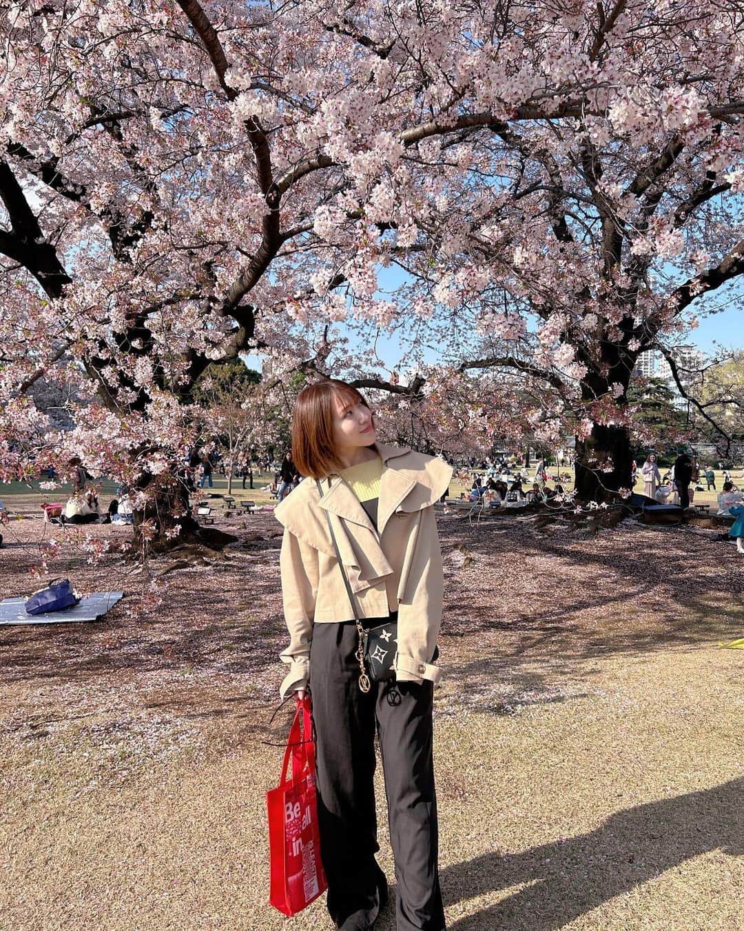 内田眞由美さんのインスタグラム写真 - (内田眞由美Instagram)「今季の桜たち🌸 たくさん見ることが出来ました！ そして今日から新年度、わくわくする春でありますように〜🐝✨」4月1日 20時49分 - mayumi_mmm_