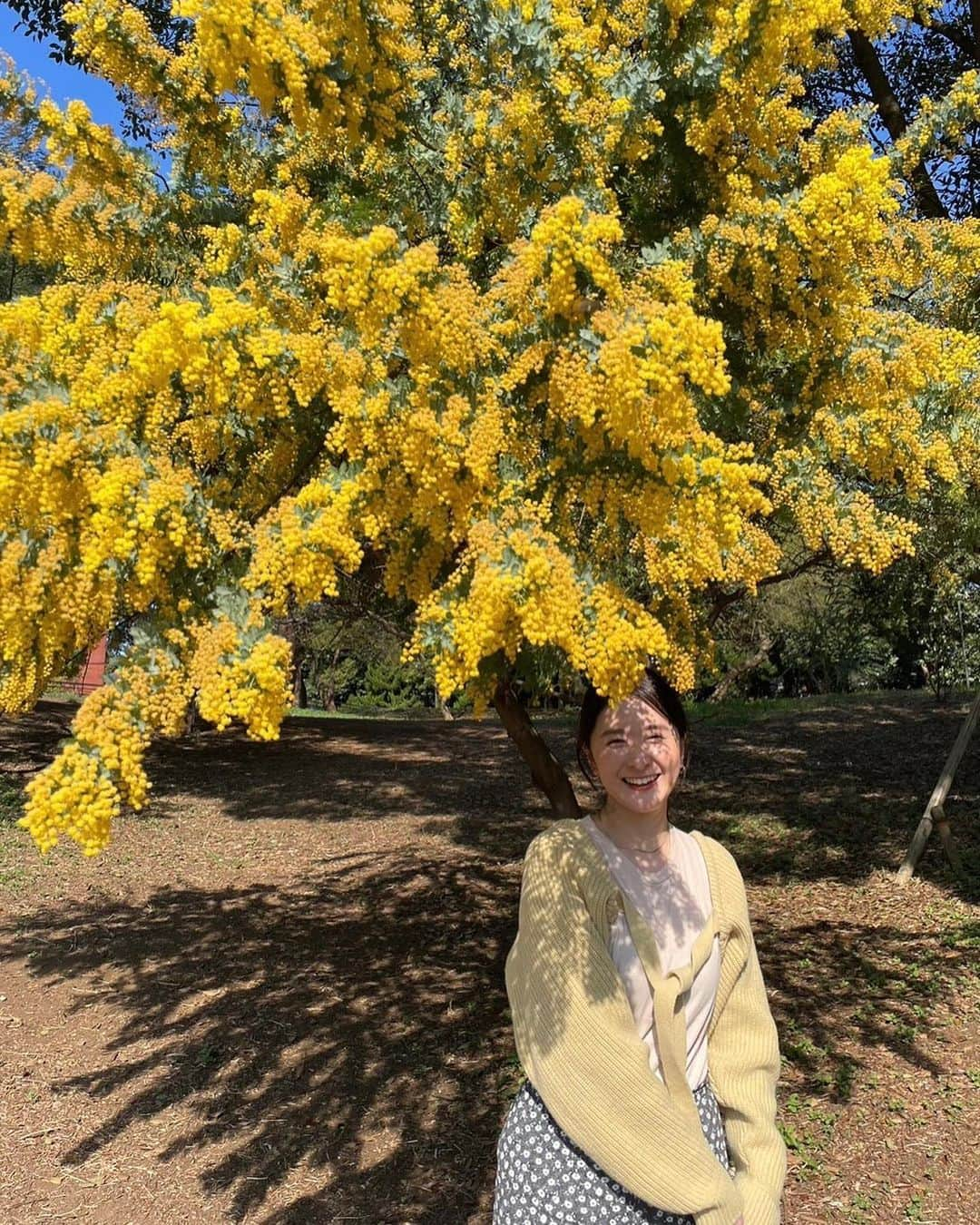 海下真夕さんのインスタグラム写真 - (海下真夕Instagram)「. 少し前ですが、ひとつ歳を重ねました🎂  毎年ひとつ増えていく数を数えながら日々感謝して これからも精進してまいります😌  日常の幸せを大切に。 心身ともに健康で。 シンプルにナチュラルに楽しみたい☺️  03.15  #最高の日#サイコーの日 #誕生日#20230315#40歳 #エイプリルフール#ではない  #ミモザ#mimosa」4月1日 20時51分 - kaigeworld