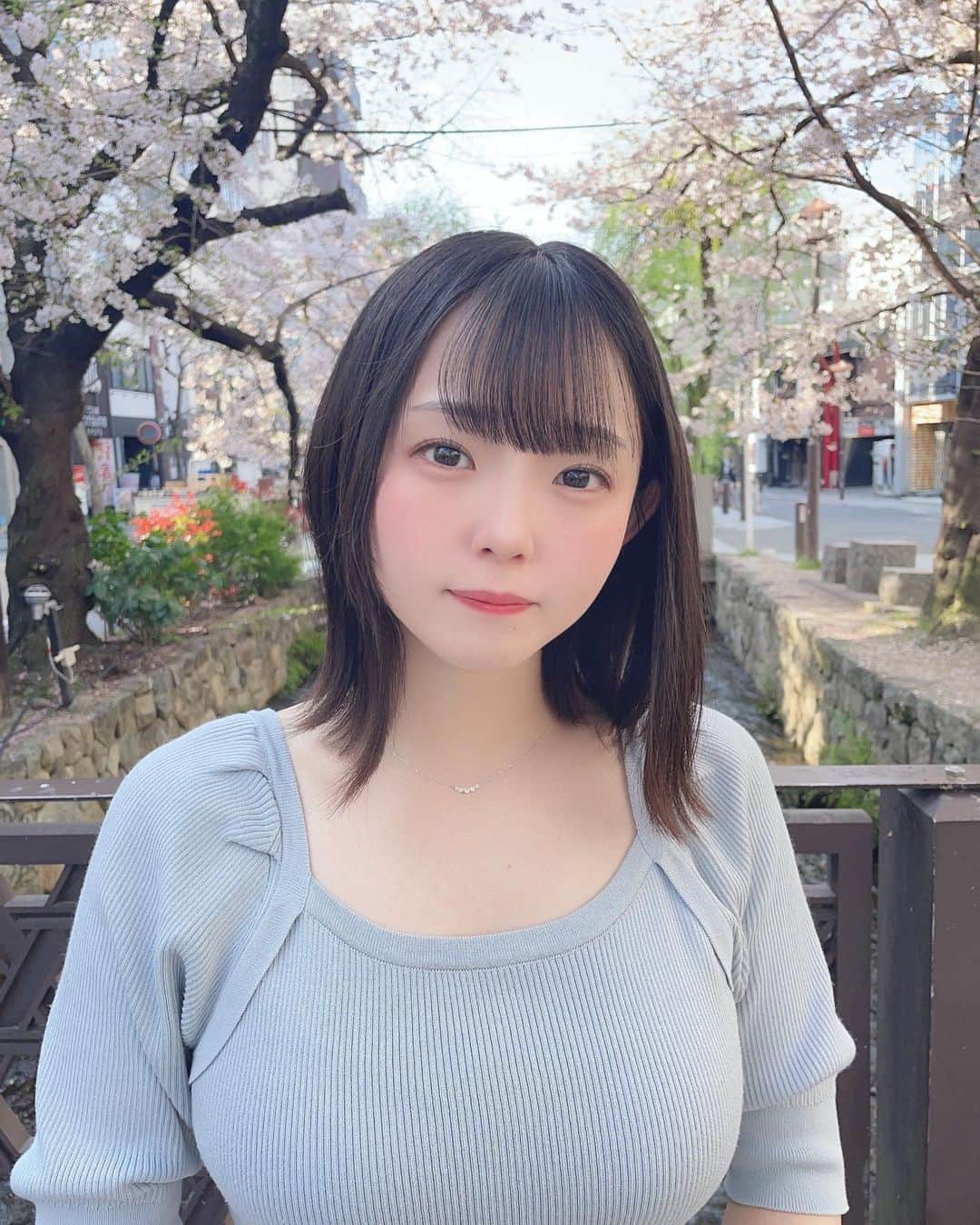 花咲ひよりのインスタグラム：「・　　　 　　　 隣をずっと歩けたらいいな、 　　  　　 　　 　　  #アイドル #アイドル衣装 #アイドル前髪 #アイドルヘア #アイドルメイク #黒髪 #黒髪ボブ #黒髪ミディアム #黒髪女子 #ぼぶ#ボブ #ボブアレンジ #桜 #花見 #桜ピンク #セミロング」