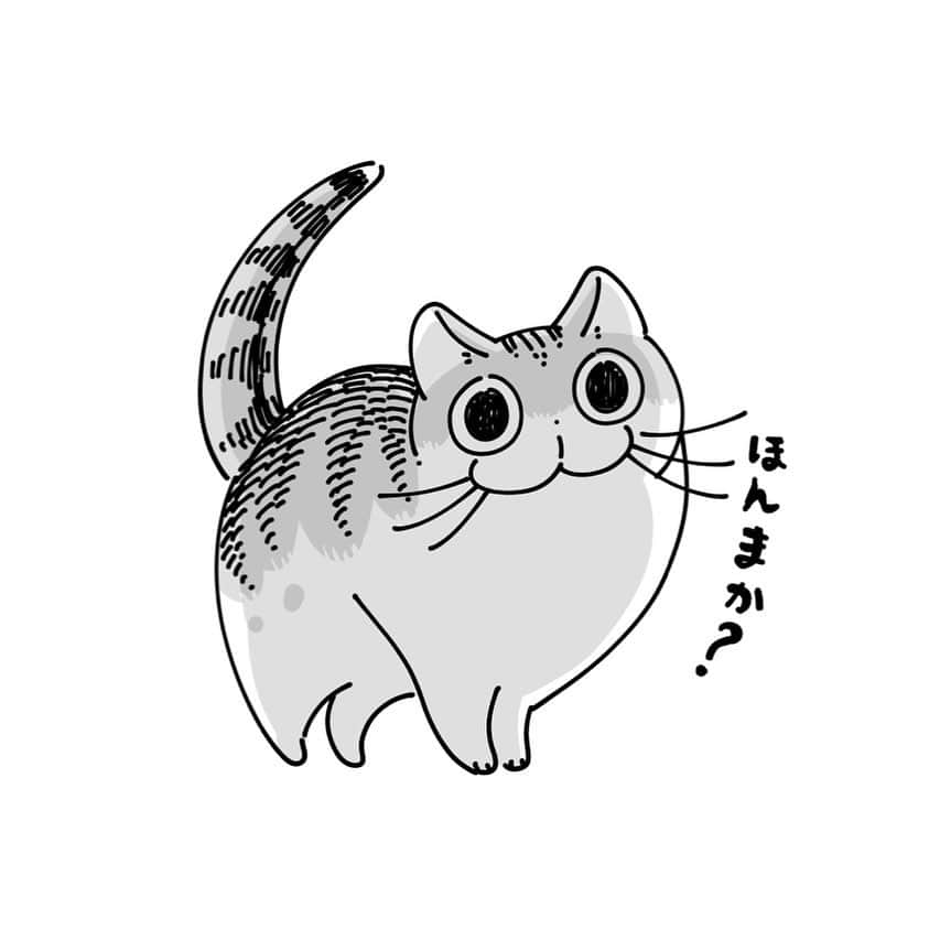 キュルZのインスタグラム：「#エイプリルフール #キュルガ」
