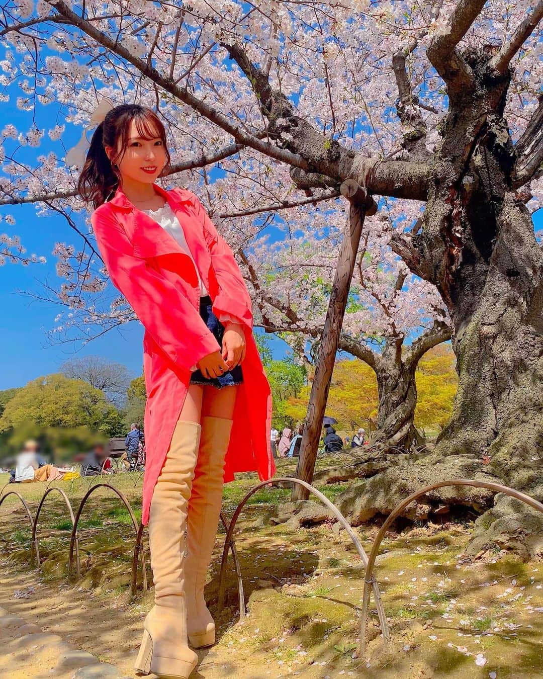 のインスタグラム：「岡山の後楽園の桜 とても綺麗すぎたの🌸*･   #花見コーデ たまにはこーゆー格好もしてみる💋  #春服コーデ #桜 #花見 #後楽園桜 #後楽園 #はるちむ #天間晴香 #kourakuen」
