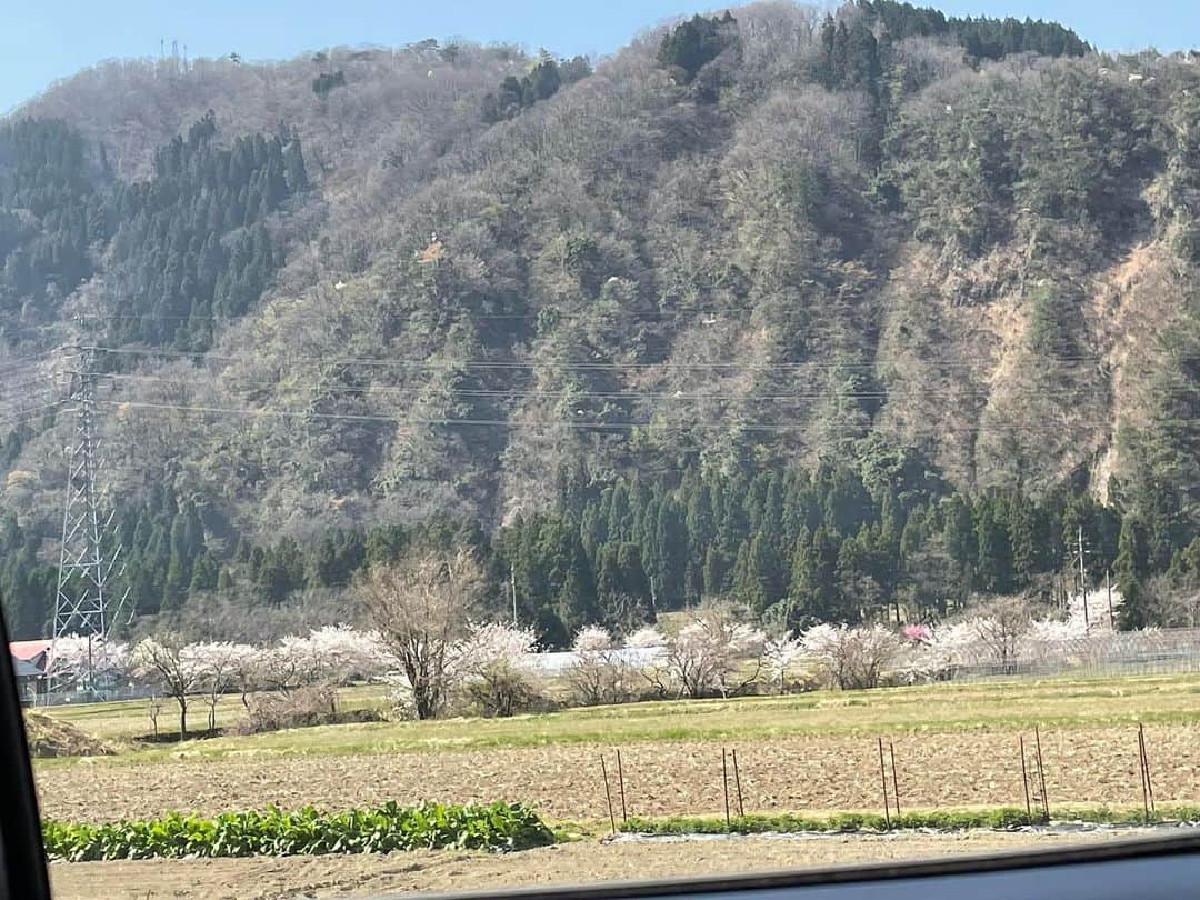 江口恵子（佐久間恵子）のインスタグラム：「金沢は桜🌸満開！ ドンピシャのタイミング  帰りの新幹線までの時間がなくて…  とりあえず お弁当とおつまみと 日本酒と…😁  大しごと、1つ任務完了🫡🫡🫡」