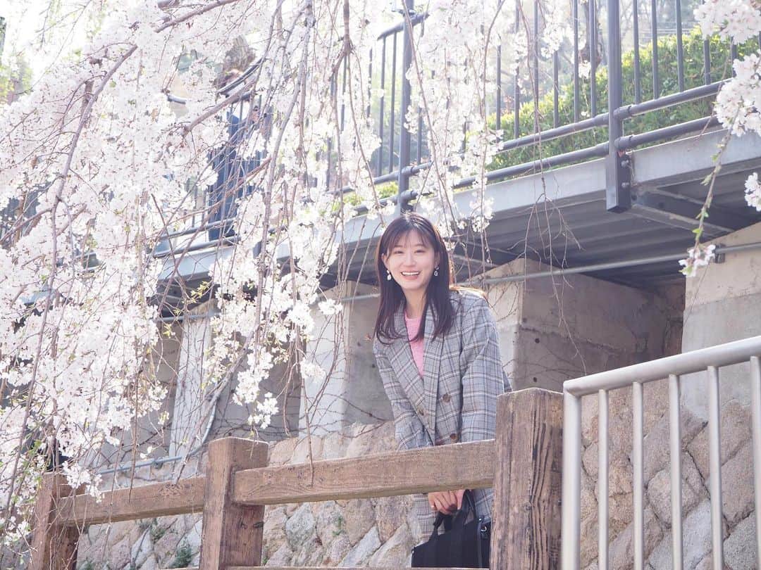 のインスタグラム：「⠀ あっという間に4月🌸 ⠀ 今日も良い天気でポカポカでしたね☺️ 皆さんは桜見れましたか〜？ ⠀ ⠀ ⠀ 今月はスタイルブック「petite fille」発売月です👧🏻 沢山の方に見つけれーちゃんしていただけますように🌼 ⠀ ⠀ ⠀ ⠀ #4月 #桜 #お花見 #春」
