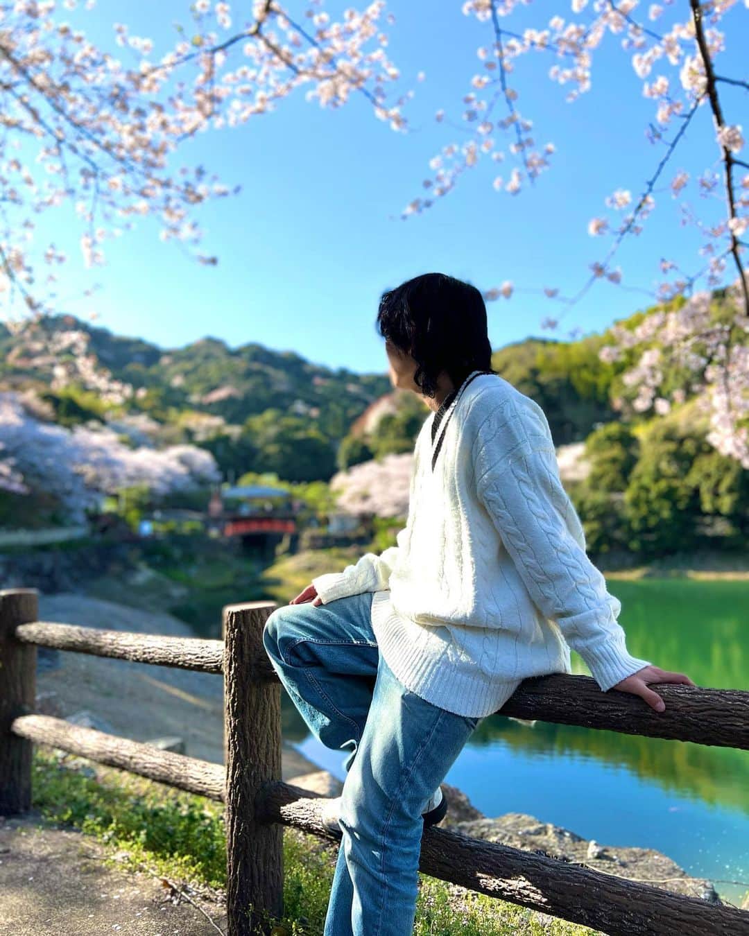 ジョーブログさんのインスタグラム写真 - (ジョーブログInstagram)「春が来たなあ。桜が綺麗で、桜の木の下で皆んなで花見して飯食ってたりしたら日本に生まれて良かったあとしみじみ思うわ。自然から感じれる幸せが四季で色々あるなあ。 そして、4月1日の本日は西成ホルモンレディゴーの2周年です！ レディゴーを愛してくれてる全ての皆さんに感謝です。 ありがとう〜😊 2周年祝いも奮って待っておりまーす🤣 こっからも西成通して楽しんでいきまーす！ 今後ともみんなほんまよろしくな👍」4月1日 21時04分 - joeanddream