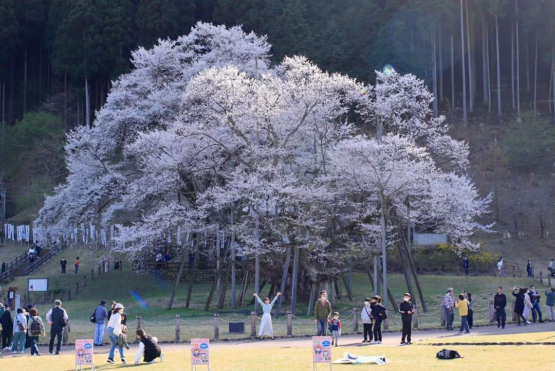 南雲穂波のインスタグラム