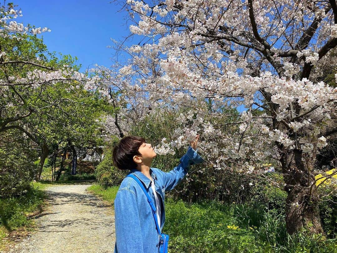 クォン・スンイルさんのインスタグラム写真 - (クォン・スンイルInstagram)「🌸 #벚꽃 #さくら #CherryBlossom」4月1日 21時12分 - urbankwon