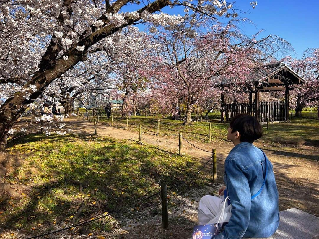 クォン・スンイルさんのインスタグラム写真 - (クォン・スンイルInstagram)「🌸 #벚꽃 #さくら #CherryBlossom」4月1日 21時12分 - urbankwon