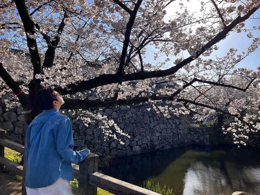 クォン・スンイルさんのインスタグラム写真 - (クォン・スンイルInstagram)「🌸 #벚꽃 #さくら #CherryBlossom」4月1日 21時12分 - urbankwon