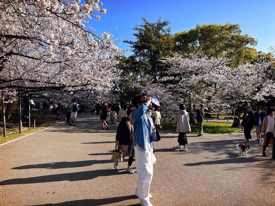 クォン・スンイルさんのインスタグラム写真 - (クォン・スンイルInstagram)「🌸 #벚꽃 #さくら #CherryBlossom」4月1日 21時12分 - urbankwon