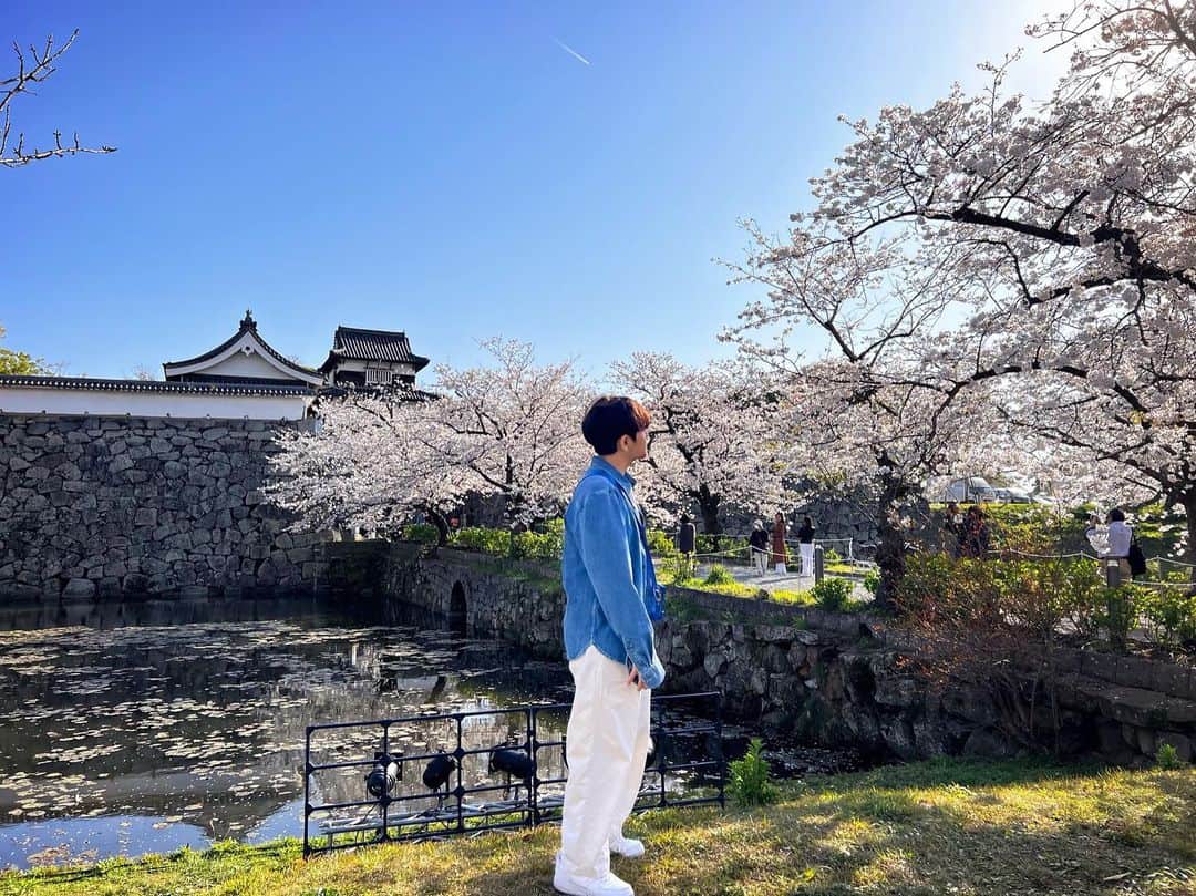 クォン・スンイルのインスタグラム：「🌸 #벚꽃 #さくら #CherryBlossom」