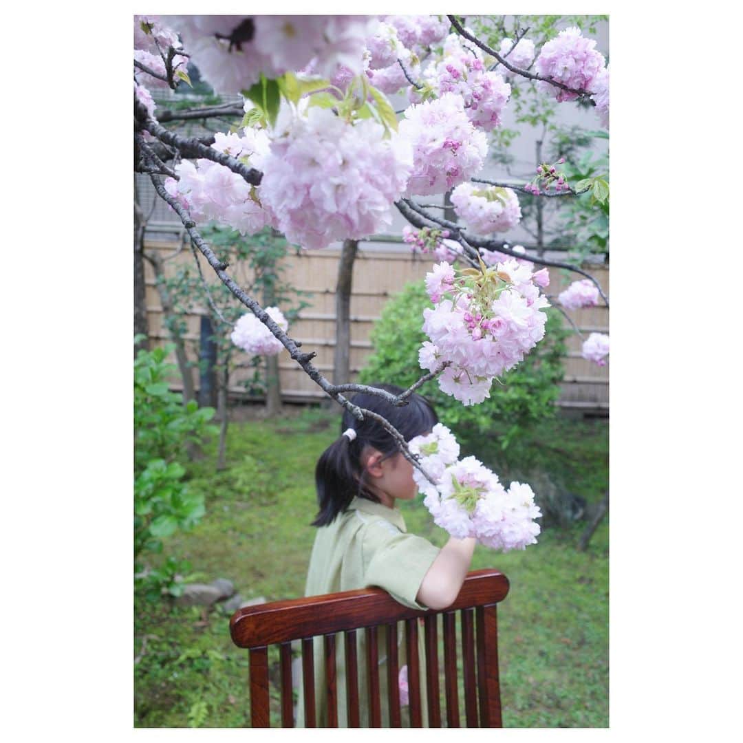 高垣麗子さんのインスタグラム写真 - (高垣麗子Instagram)「* ぼんぼり桜に癒された午後  ここへ来ると娘は輪をかけて無邪気になるし、私はストンとこころ正される気がする  本当に好きなものって、自分の年齢やライフスタイルが変化をしても関係なしに好きなんだな𓂃𓂃  いつもありがとうございます🌸 @archi_gibbous   * #お花見　しながらの #archi2023aw」4月1日 21時19分 - reikotakagaki