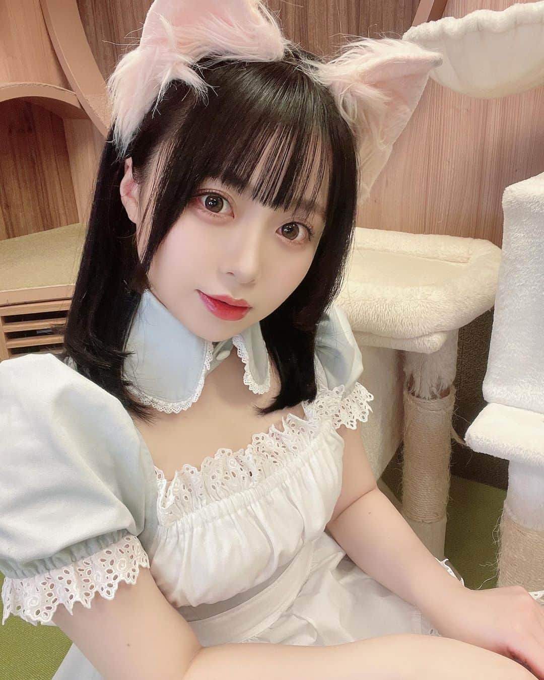 宇咲美まどかさんのインスタグラム写真 - (宇咲美まどかInstagram)「🐱 . ちゅ〜るの時間まだですか〜❔  #cat #catcafe #catstagram #catlover #catlife #catlovers #cafe #café #cafè #conceptart #conceptcafe #akiba #akihabara #akibamaidwar #maid #maidcafe #cute #cutecat #cutecats #cuteanimals #sexy #animals #animal #animallovers #秋葉原 #秋葉原カフェ #メイド服 #メイド #メイドカフェ」4月1日 21時22分 - __mdrin