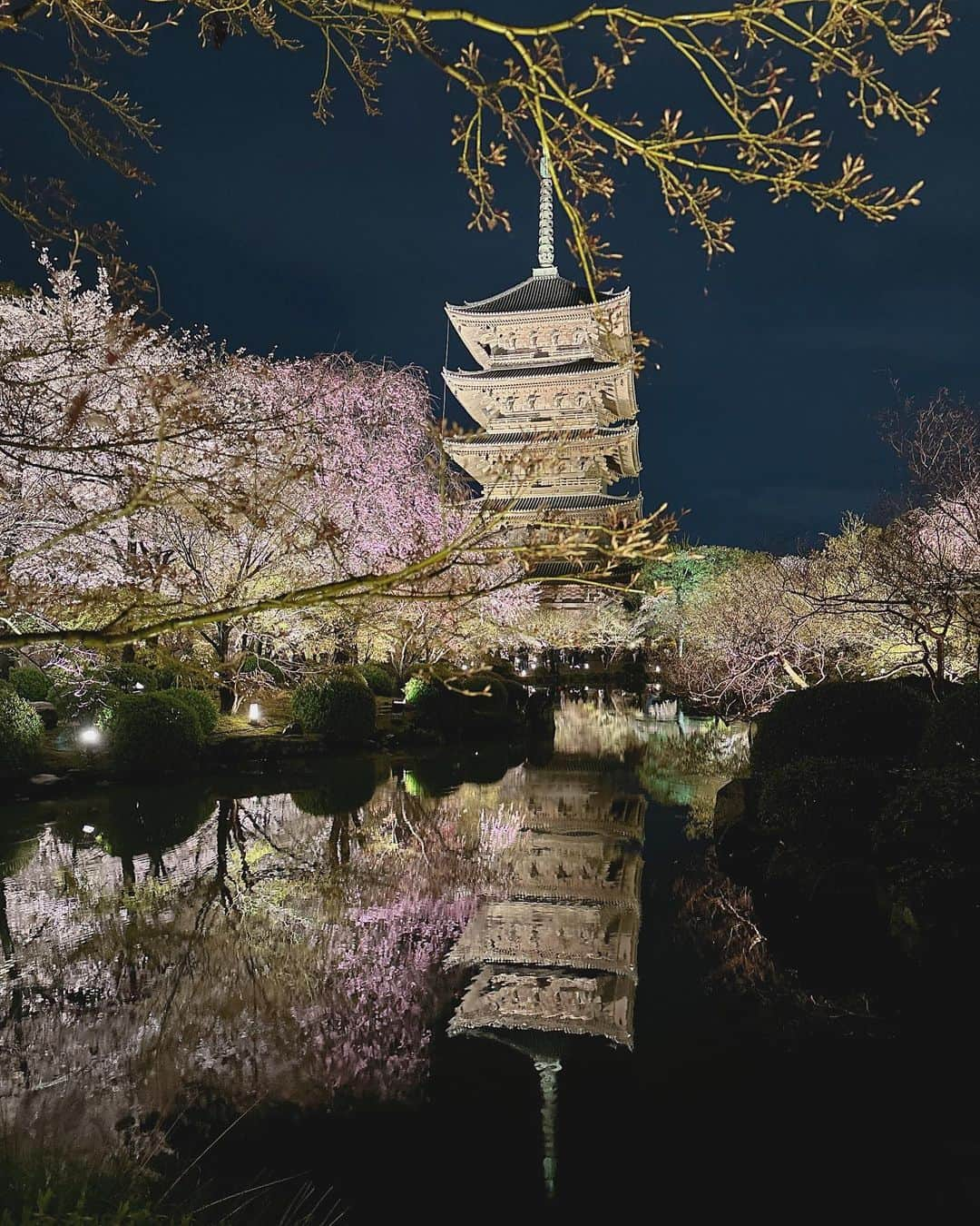 松原伊予菜のインスタグラム：「京都⛩ 今年はたくさん桜見れた🌸☺️  #東寺#夜桜#祇園#浅草#asakusa#桜#sakura#人力車#京都観光#gion#桜ライトアップ#月桂冠#寺田屋#japan#坂本龍馬#東本願寺#日本酒#京都#kyoto#京都着物レンタル#清水寺#八坂神社#高台寺#京都旅行#御朱印#着物女子#ライトアップ#スタバ#ご朱印」