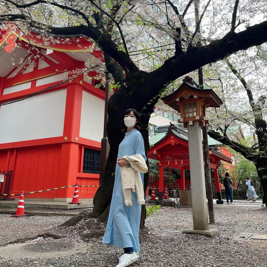 西原さおりさんのインスタグラム写真 - (西原さおりInstagram)「今週はお天気がイマイチだったり外に出る時間もなかったりで、桜の一番美しい頃を堪能できなかったんですよ… てことで、朔日参りがてら近所の桜を眺めてきました🌸  昨日まで肌寒かった東京も、今日は本格的に暖かくなって良かったー😊  #桜 #花園神社 #散歩  #西原さおり」4月1日 21時29分 - saolio