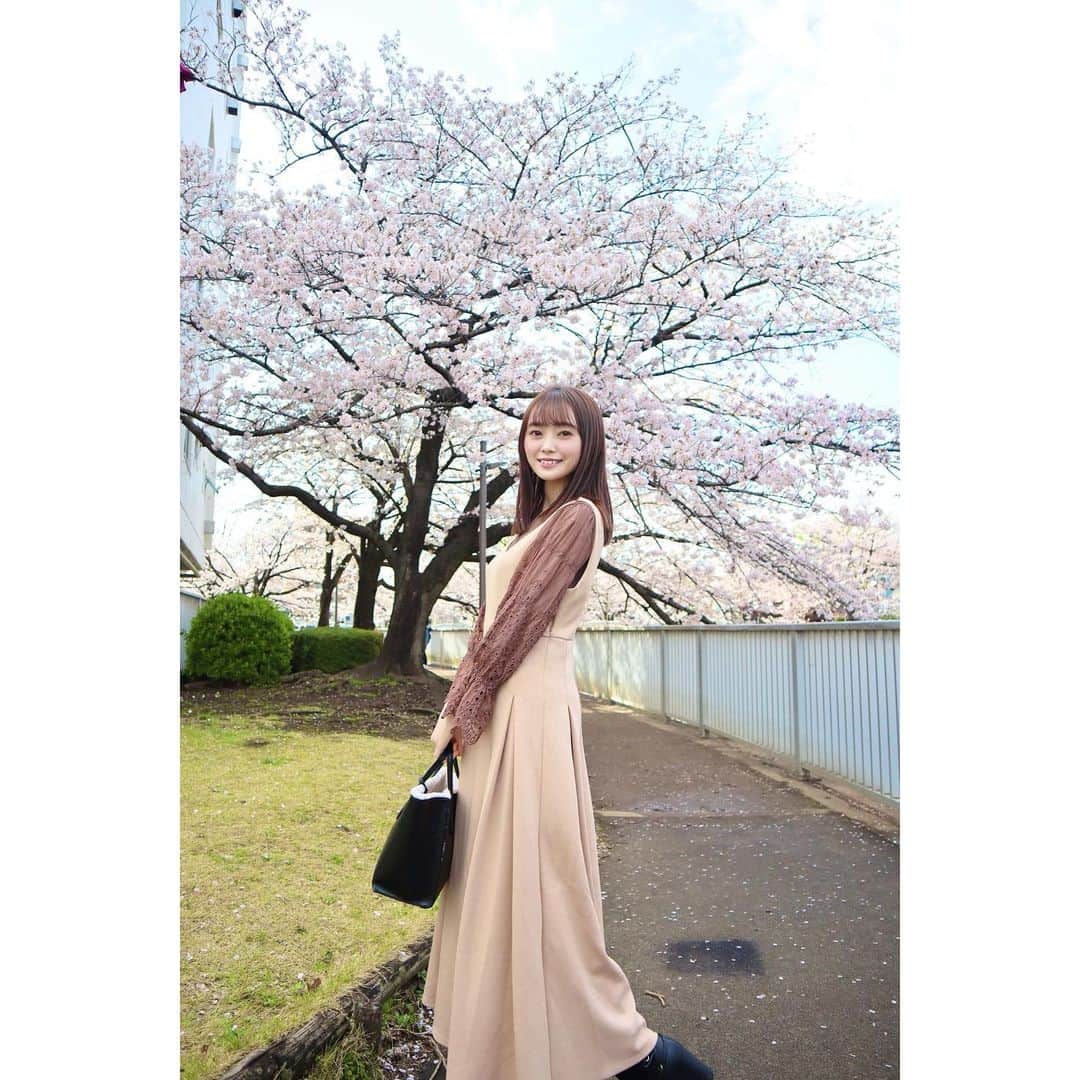 樋渡結依のインスタグラム：「満開のときの写真♡  #桜  #cherryblossoms  #ดอกซากุระ  #ootd  #桜並木  #桜回廊  #春コーデ  #ジャンスカ  #eimyistoire  #春 が1番好き☺️  ＊春にしたいことは？🌸」