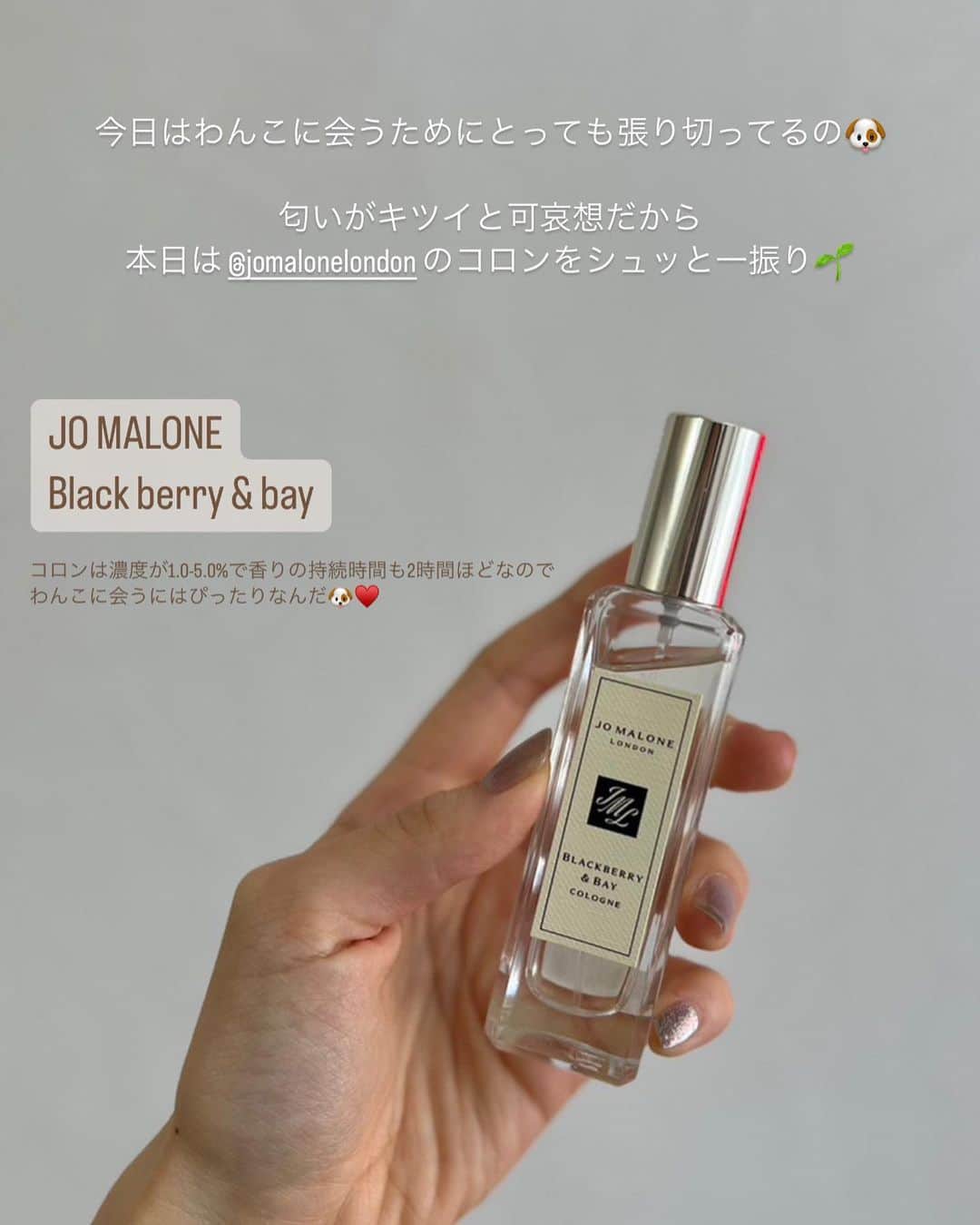 長沼南帆のインスタグラム：「わんこは人間の嗅覚の数千倍〜数億倍🐶  いつもはオードパルファム(持続時間が長い)しかつけないけど、わんこのために我慢🥰  そのおかげか、2匹にとてもモテました🤣  #jomalone #ジョーマローン #jomaloneperfume #香水 #香水マニア #オードトワレ #香りフェチ」