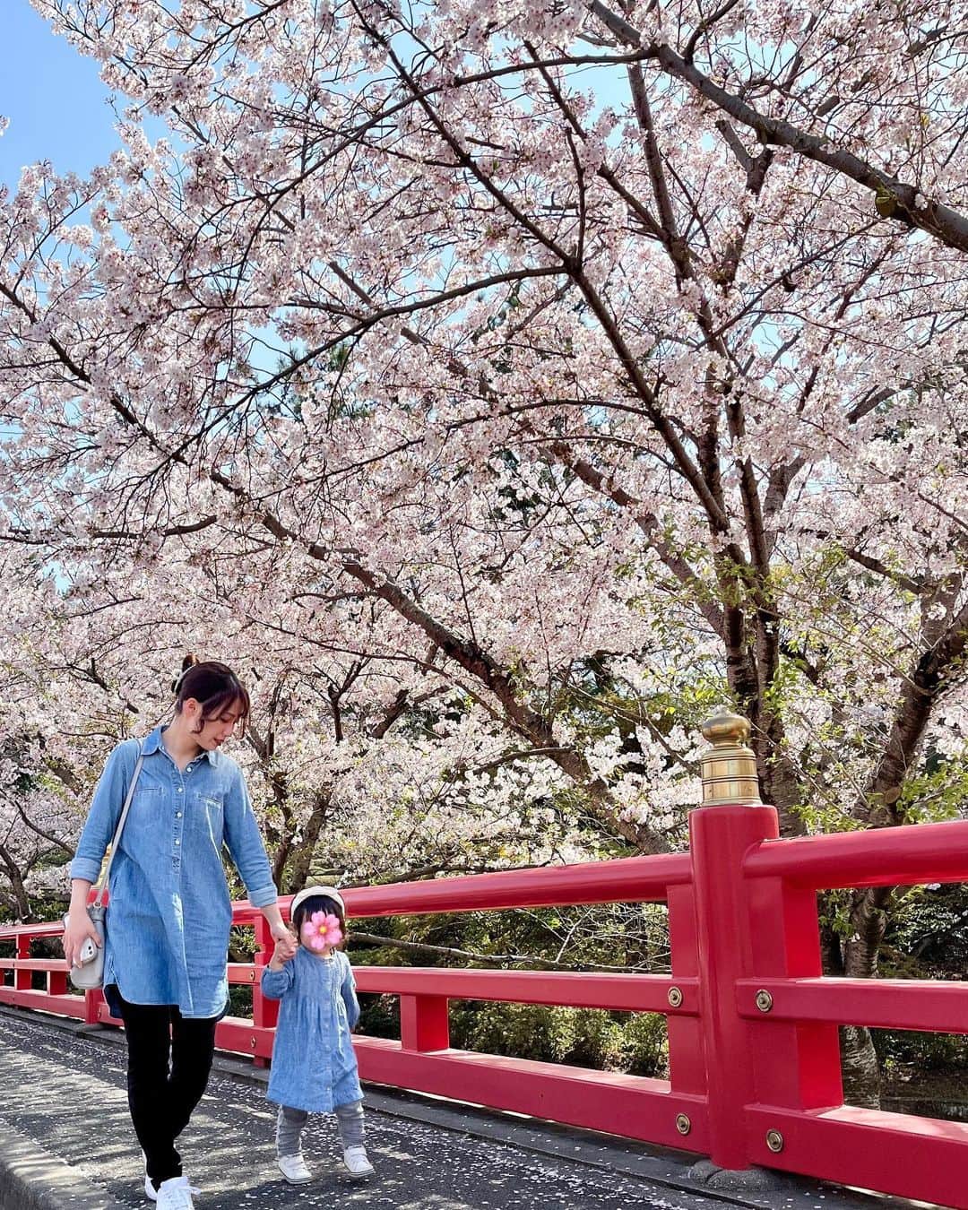 M-chanのインスタグラム：「𓂃𓂂𓈒  毎年4/1は娘とお花見🌸 ． 今年も娘は桜より石に興味深々でした😂  #親子リンクコーデ  #お花見 #お花見コーデ #2歳児 #2歳女の子 #女の子ママ」