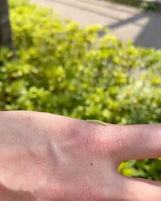 板谷由夏 のインスタグラム：「わたしを測ってくれてありがとう。 小さな命。大きな気持ち。 幸せ。」