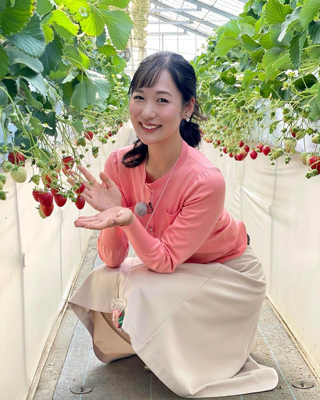 宮崎麗奈のインスタグラム