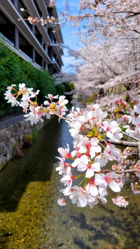 古村勇人のインスタグラム