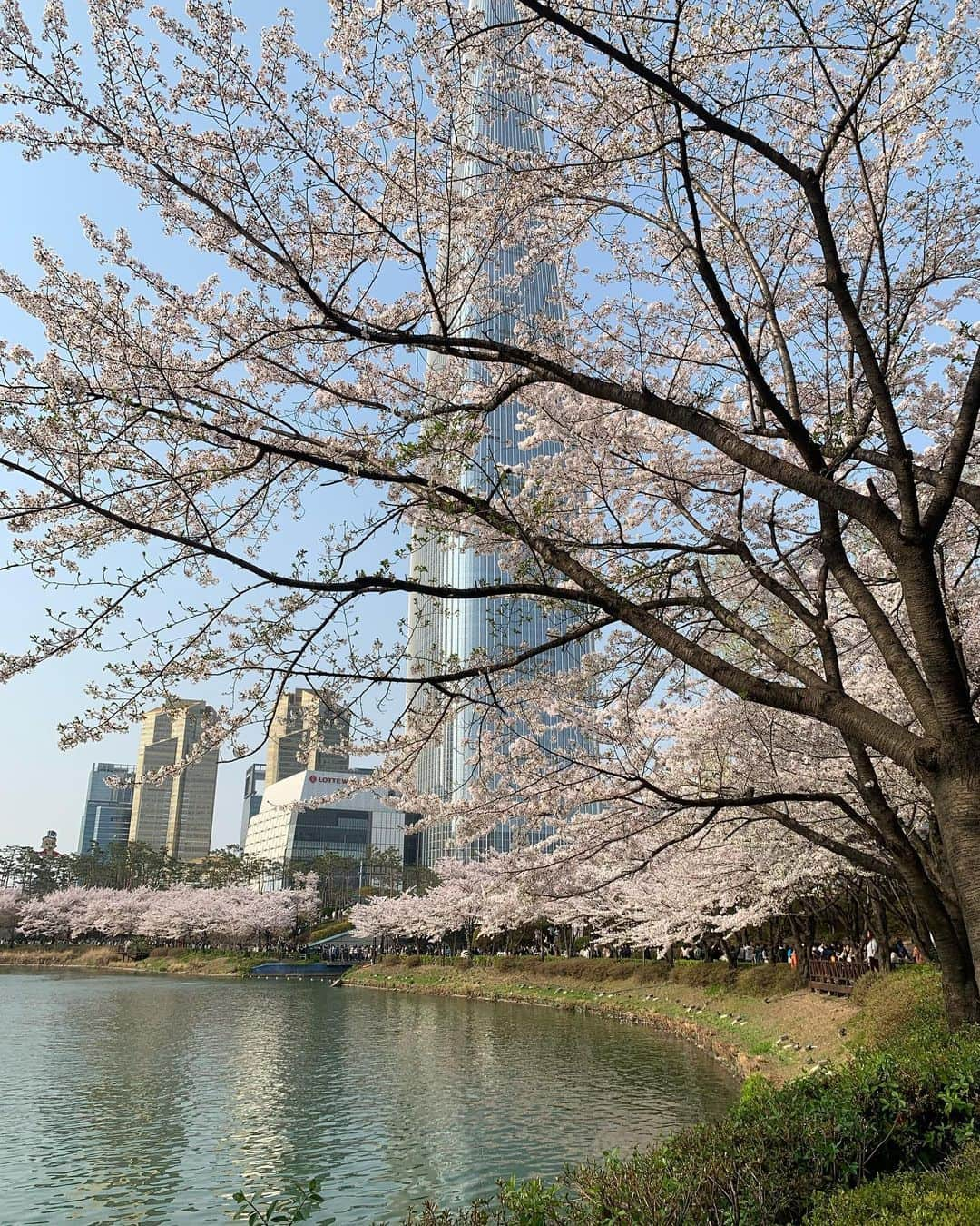 イ・ミナさんのインスタグラム写真 - (イ・ミナInstagram)「너무너무 잘지내고있어요,💗🫧」4月1日 22時01分 - mina_world_