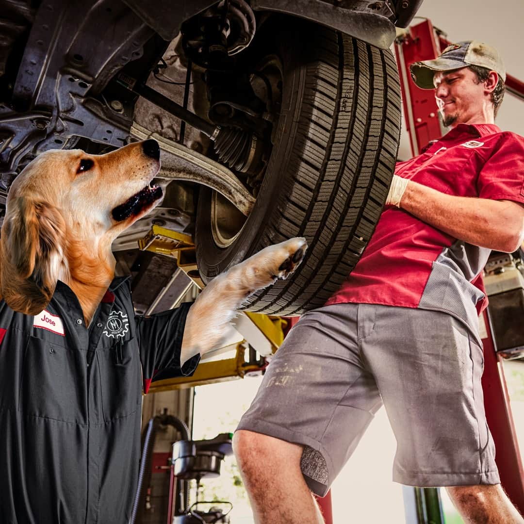 レッドキャップさんのインスタグラム写真 - (レッドキャップInstagram)「You aren’t the only one that works hard. Fido does too. It’s time your pup starts dressing for the job with Red Kap’s new line of workwear for dogs.」4月1日 22時02分 - redkap