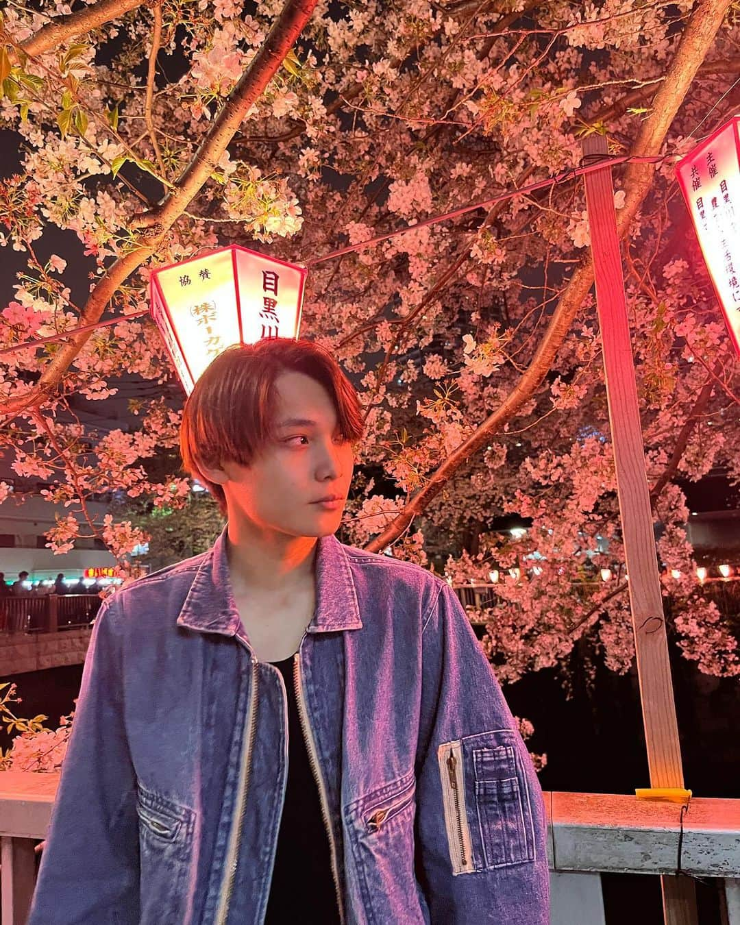 中村榛のインスタグラム：「夜桜見に行って来ました🌸🌙  今月もよろしくお願いします😌  #桜#sakura」