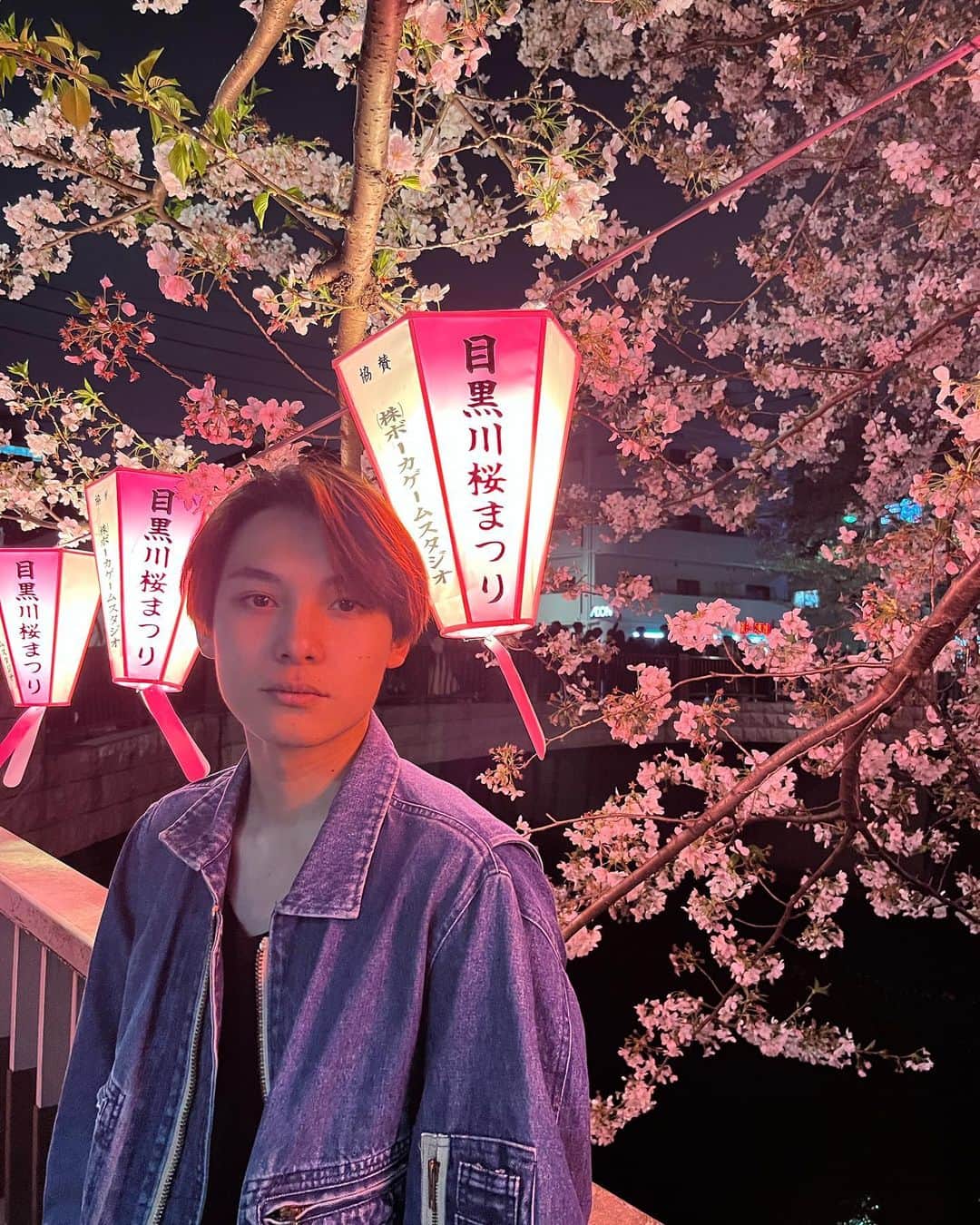 中村榛さんのインスタグラム写真 - (中村榛Instagram)「夜桜見に行って来ました🌸🌙  今月もよろしくお願いします😌  #桜#sakura」4月1日 22時03分 - naka.haru0819