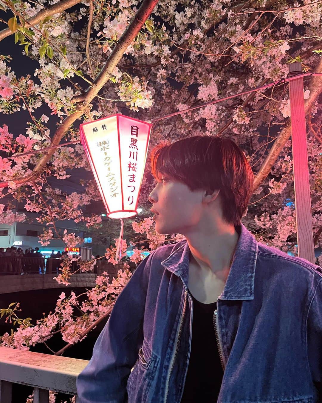 中村榛さんのインスタグラム写真 - (中村榛Instagram)「夜桜見に行って来ました🌸🌙  今月もよろしくお願いします😌  #桜#sakura」4月1日 22時03分 - naka.haru0819