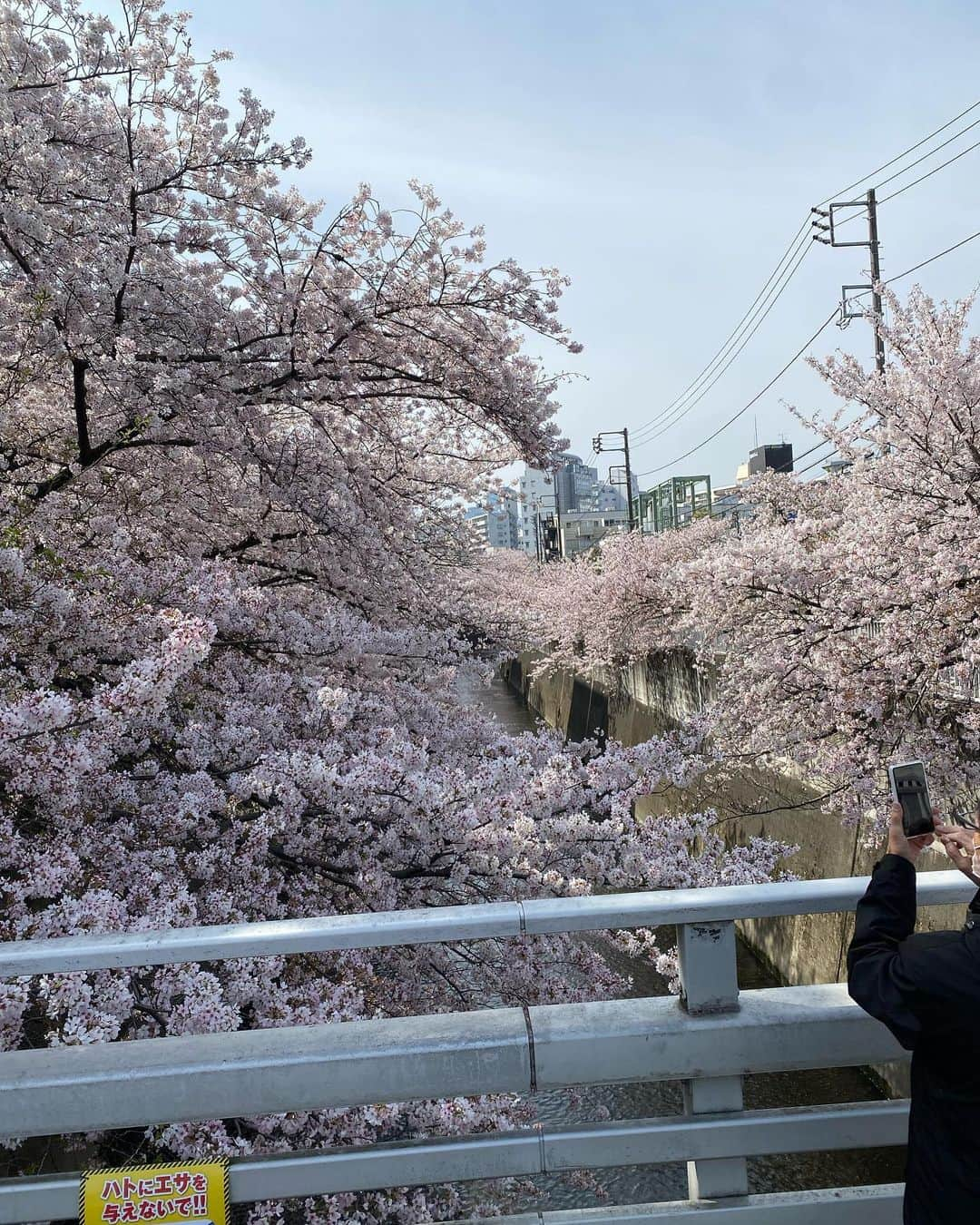 桐畑和繁のインスタグラム