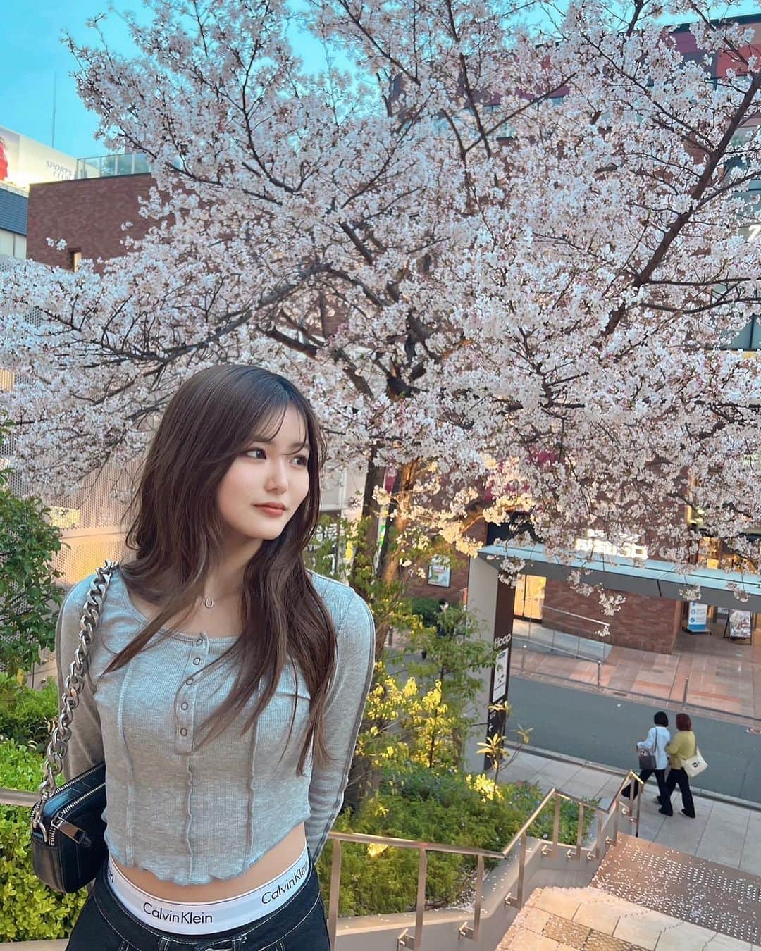 田仲埜愛さんのインスタグラム写真 - (田仲埜愛Instagram)「. 🌸🌸🌸 #spring #cherryblossoms #桜 ...