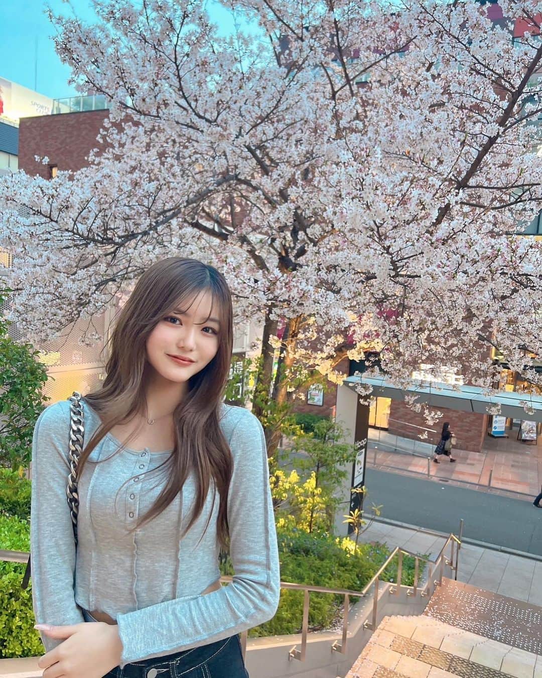 のインスタグラム：「.  🌸🌸🌸  #spring #cherryblossoms #桜 #さくら #jk2 #noa❤︎」