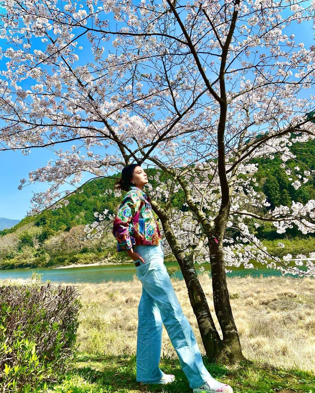 遊海 Yuumiさんのインスタグラム写真 - (遊海 YuumiInstagram)「Just as the Sakura tree blooms year after year, keep growing and blooming in your own journey   桜の木が毎年咲き誇るように、自分自身も成長し続け、人生輝かせ続けましょう💕🌸✨  #SakuraSeason #BloomWhereYouArePlanted #NewBeginnings #LifeJourney #SelfGrowth #MotivationalQuotes #NaturePhotography #PinkPetals #SpringVibes #NatureLove #JapaneseCulture #BeautifulScenery #Inspiration #PositiveVibes #Happiness #sakura #miyariver #宮リバー　#宮リバー度会パーク #花見　#桜　#ビューティー　#セルフケア　#春　#自然　#visitmie #visitjapan」4月1日 22時25分 - yuumi_kato