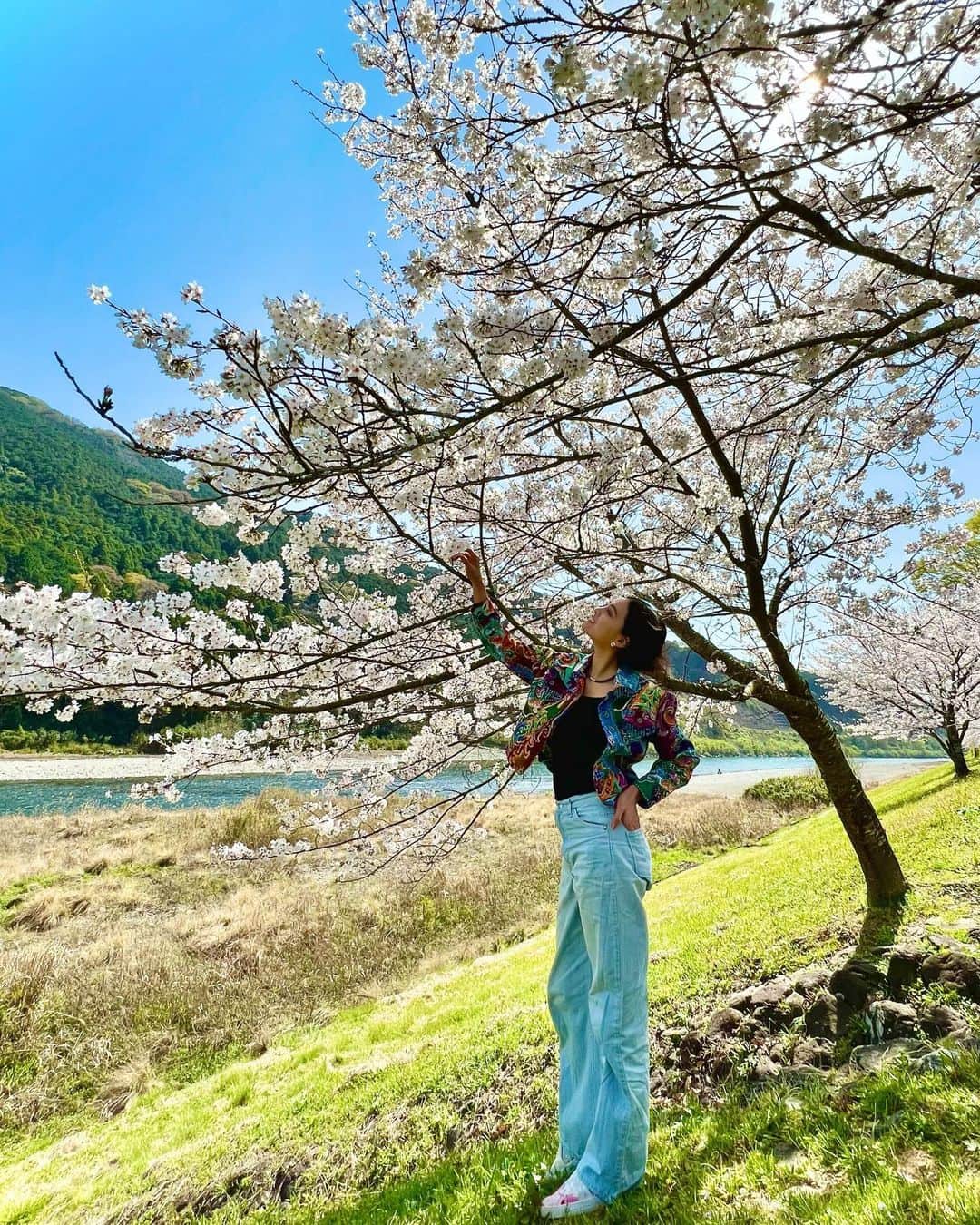 遊海 Yuumiのインスタグラム：「Just as the Sakura tree blooms year after year, keep growing and blooming in your own journey   桜の木が毎年咲き誇るように、自分自身も成長し続け、人生輝かせ続けましょう💕🌸✨  #SakuraSeason #BloomWhereYouArePlanted #NewBeginnings #LifeJourney #SelfGrowth #MotivationalQuotes #NaturePhotography #PinkPetals #SpringVibes #NatureLove #JapaneseCulture #BeautifulScenery #Inspiration #PositiveVibes #Happiness #sakura #miyariver #宮リバー　#宮リバー度会パーク #花見　#桜　#ビューティー　#セルフケア　#春　#自然　#visitmie #visitjapan」