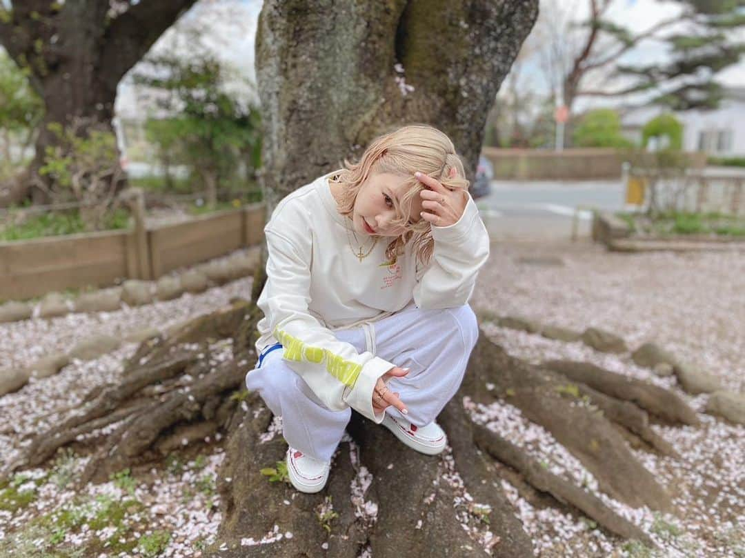 ロザリーナのインスタグラム：「サクラ🌸とロザリーナと公園🌳   #撮影の合間   #公園でたむろしている  #みたいですね」