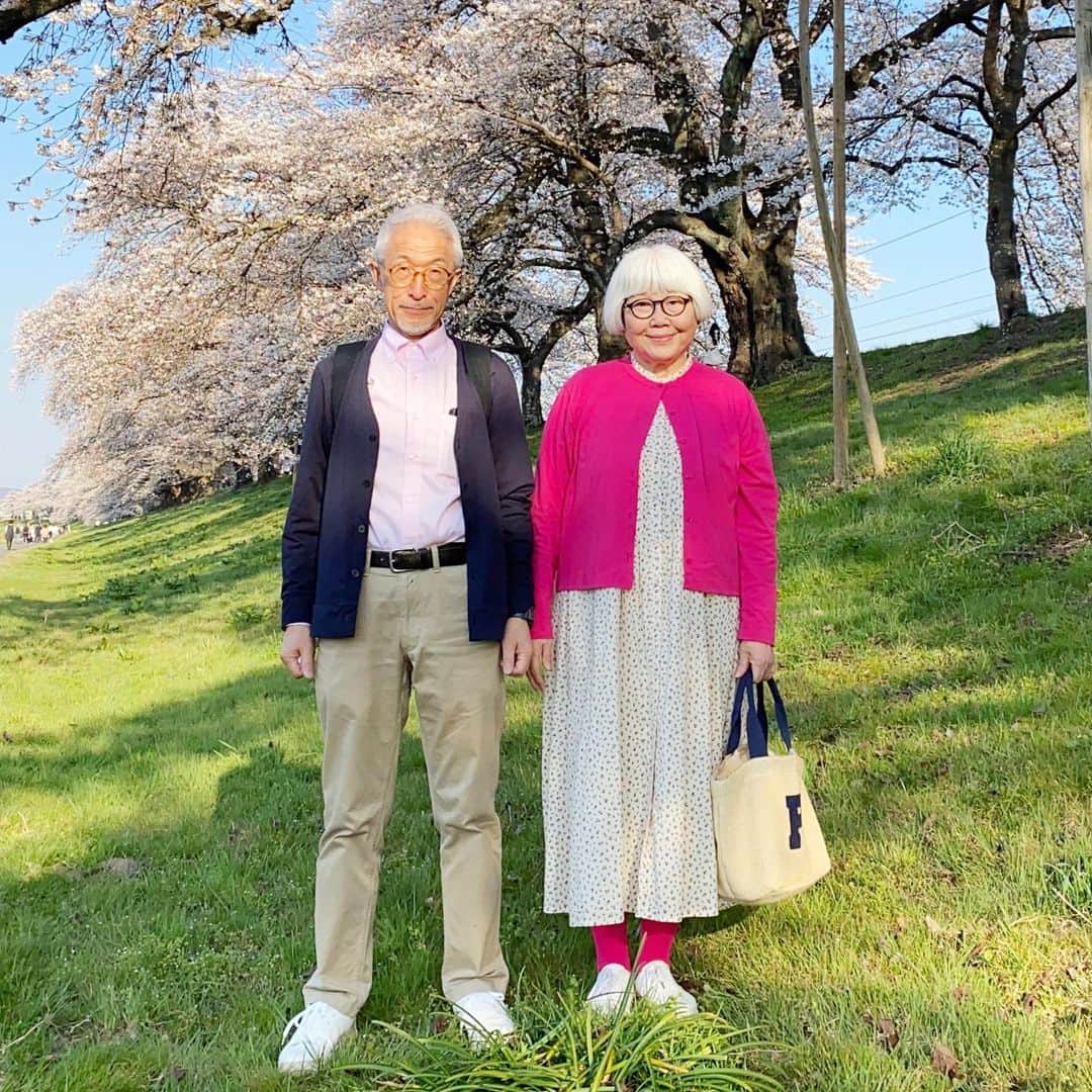 bon ponさんのインスタグラム写真 - (bon ponInstagram)「宮城県の桜の名所、柴田郡大河原町の一目千本桜を観に行って来ました🌸🌸🌸 今年の桜は、開花宣言から一気に満開となり、しかも土日に見頃を迎えたため、多くの花見客で賑わっていました。  4年ぶりに「さくらマルシェ」も開催。 船岡城址公園の山頂に建つ船岡平和観音像にちなんだ「かんのん焼き」 粒あん・クリーム・桜あんの3種類があって、優しい甘さが歩き疲れた体に沁みました😋😋 ＊ ピンクコーデ💗💗 桜を観に行くために明るい色の服が着たくてピンクに挑戦！ ponはUNIQLOの「UVカットジャージークルーネックカーディガン」のビビットなピンクに一目惚れ。それに合わせてbonも UNIQLOのピンクのボタンダウンシャツを買いましたが、ピンクの色合いが薄過ぎて写真に撮ると白飛びしてしまいました😓  bon ・カーディガン(UNIQLO) ・シャツ(UNIQLO) ・パンツ(UNIQLO) pon ・カーディガン(UNIQLO) ・ワンピース(UNIQLO×INES) ・バッグ(FABRICO) ＊ ＊ #一目千本桜 #夫婦 #60代 #ファッション #コーディネート #リンクコーデ #夫婦コーデ #グレイヘア #白髪 #共白髪 #couple #over60 #fashion #coordinate #instagramjapan #greyhair #grayhair #bonpon #bonpon511」4月1日 22時31分 - bonpon511