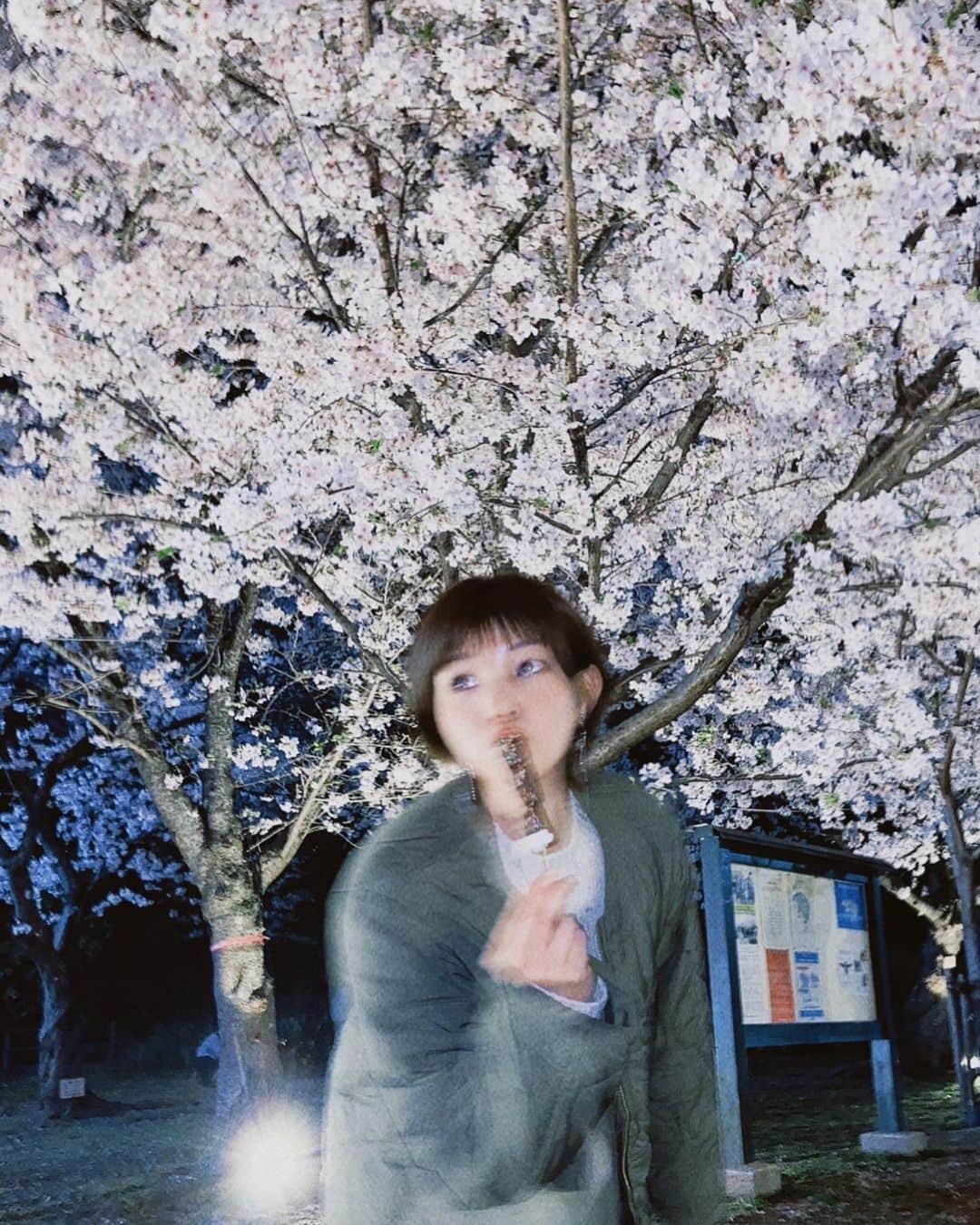 内村麻美さんのインスタグラム写真 - (内村麻美Instagram)「. ぶれっぶれが、好きだったりする📷 . #花見 #福岡 #桜 #チョコマシュマロ」4月1日 22時41分 - asami___05