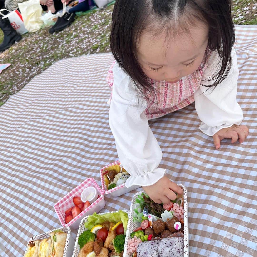 SUZUさんのインスタグラム写真 - (SUZUInstagram)「︎❤︎  今日は家族で初めてのお花見🌸  去年は桜見に行っただけやったから 今年はレジャーシートひいてのんびりお花見🍡  朝からお弁当作った🥪センス無いけど 頑張って作ってみたから、記念に📸💕  大阪城公園の桜も見るの初めてで 良い天気やったし、満開で最高でした♡♡  またのんびりお散歩したいな♪♪  #大阪城公園#お花見弁当#桜スポット  #ピクニック弁当#桜#春#お花見」4月1日 22時37分 - suzuchibi