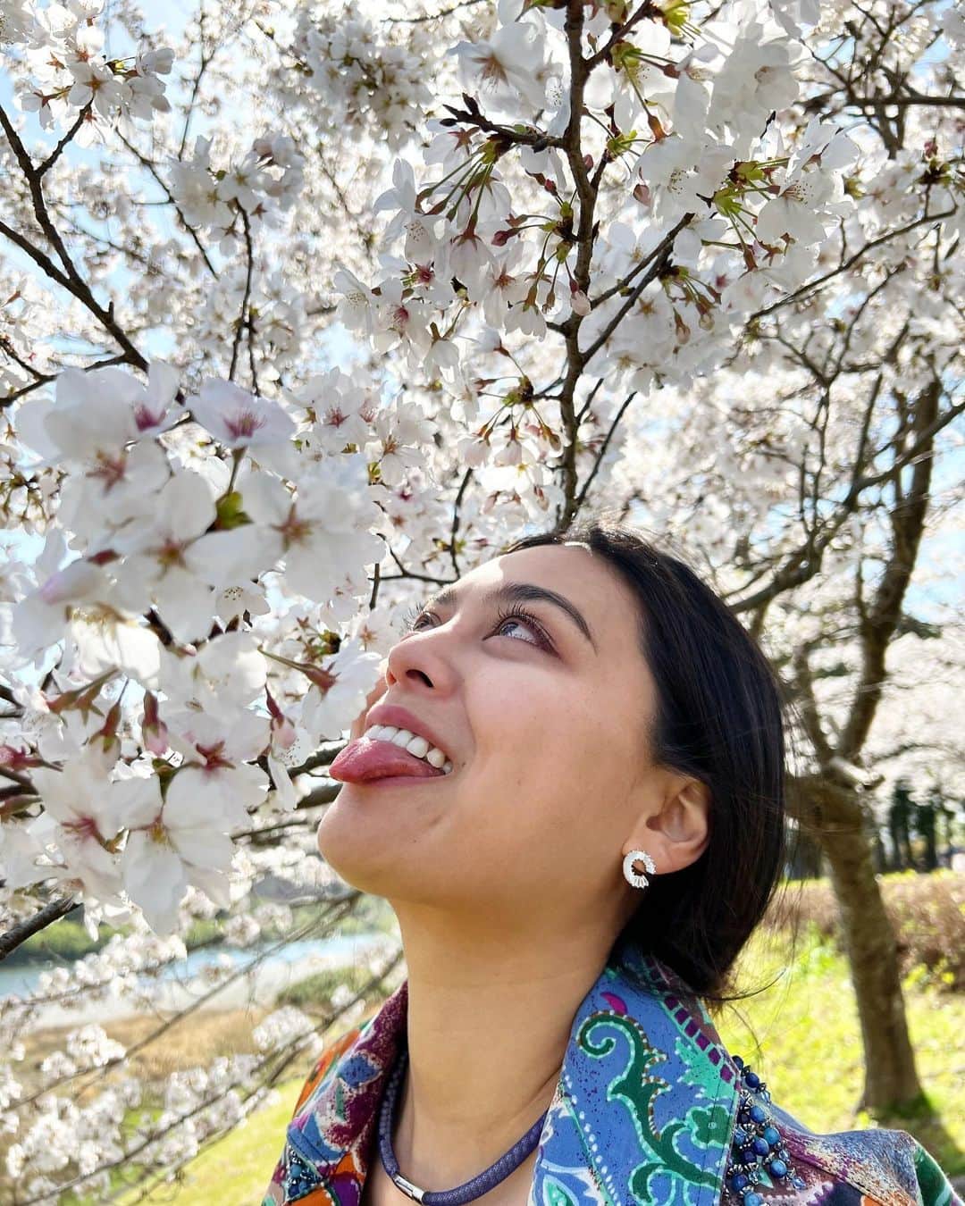 遊海 Yuumiさんのインスタグラム写真 - (遊海 YuumiInstagram)「The Sakura is a reminder that even after the harshest of winters, spring will always come again, bringing with it the promise of new beginnings✨　 Cheers 🥂  #SakuraSeason #BloomWhereYouArePlanted #NewBeginnings #LifeJourney #SelfGrowth #MotivationalQuotes #NaturePhotography #PinkPetals #SpringVibes #NatureLove #JapaneseCulture #BeautifulScenery #Inspiration #PositiveVibes #Happiness #sakura #miyariver #宮リバー　#宮リバー度会パーク #花見　#桜　#ビューティー　#セルフケア　#春　#自然　#visitmie #visitjapan」4月1日 22時38分 - yuumi_kato