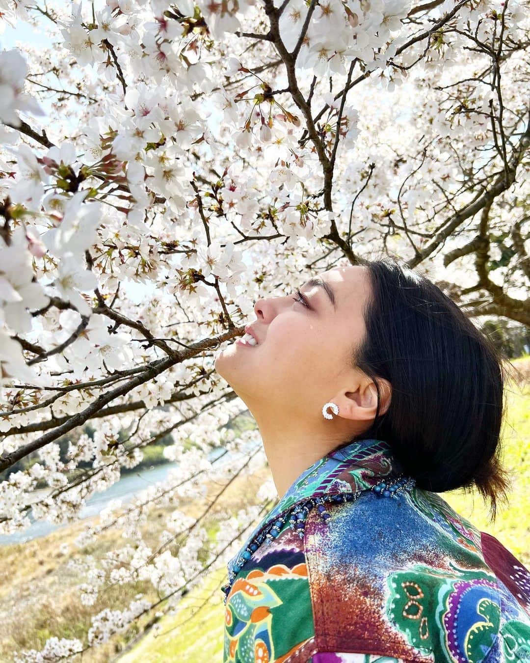 遊海 Yuumiさんのインスタグラム写真 - (遊海 YuumiInstagram)「The Sakura is a reminder that even after the harshest of winters, spring will always come again, bringing with it the promise of new beginnings✨　 Cheers 🥂  #SakuraSeason #BloomWhereYouArePlanted #NewBeginnings #LifeJourney #SelfGrowth #MotivationalQuotes #NaturePhotography #PinkPetals #SpringVibes #NatureLove #JapaneseCulture #BeautifulScenery #Inspiration #PositiveVibes #Happiness #sakura #miyariver #宮リバー　#宮リバー度会パーク #花見　#桜　#ビューティー　#セルフケア　#春　#自然　#visitmie #visitjapan」4月1日 22時38分 - yuumi_kato