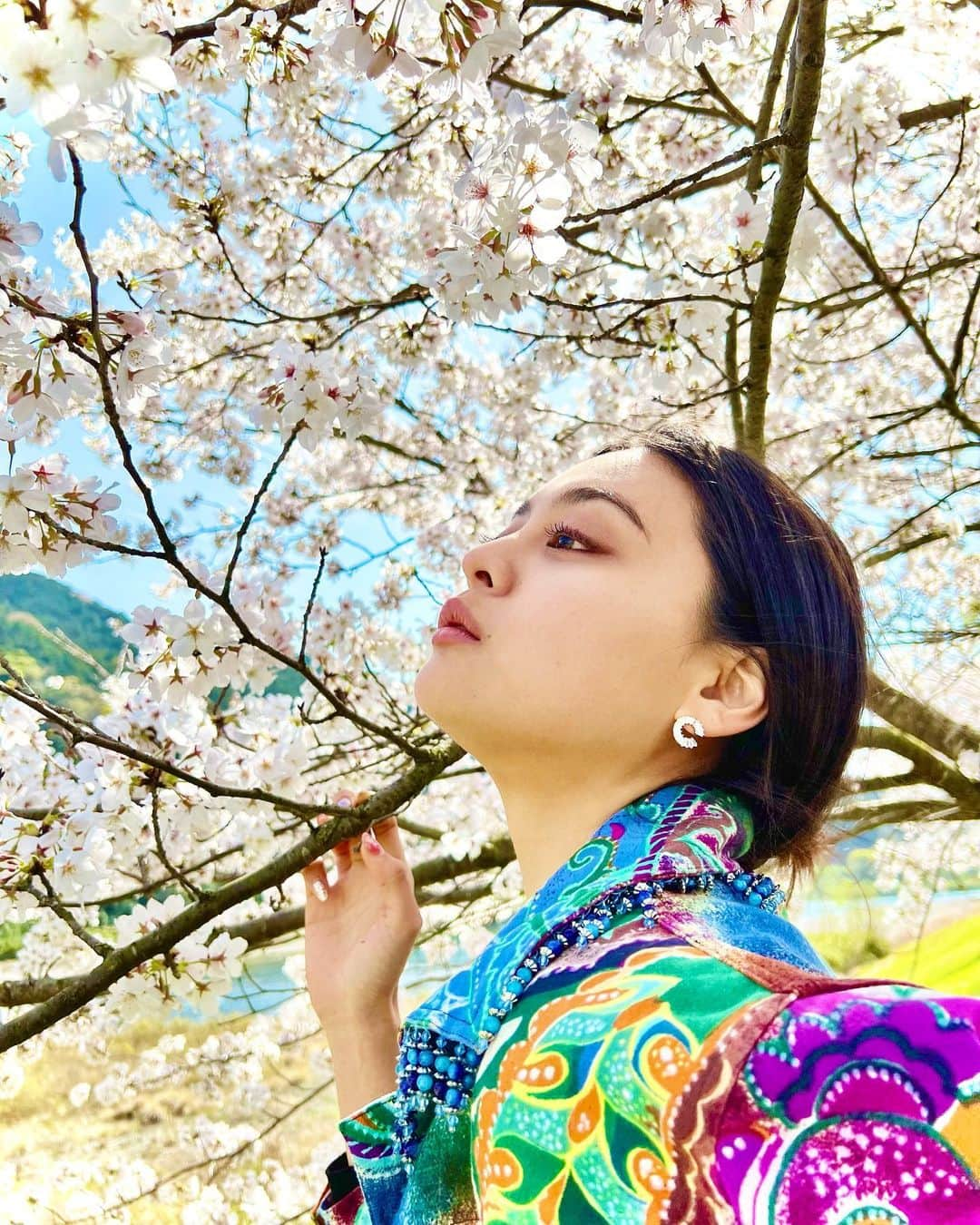 遊海 Yuumiさんのインスタグラム写真 - (遊海 YuumiInstagram)「The Sakura is a reminder that even after the harshest of winters, spring will always come again, bringing with it the promise of new beginnings✨　 Cheers 🥂  #SakuraSeason #BloomWhereYouArePlanted #NewBeginnings #LifeJourney #SelfGrowth #MotivationalQuotes #NaturePhotography #PinkPetals #SpringVibes #NatureLove #JapaneseCulture #BeautifulScenery #Inspiration #PositiveVibes #Happiness #sakura #miyariver #宮リバー　#宮リバー度会パーク #花見　#桜　#ビューティー　#セルフケア　#春　#自然　#visitmie #visitjapan」4月1日 22時38分 - yuumi_kato