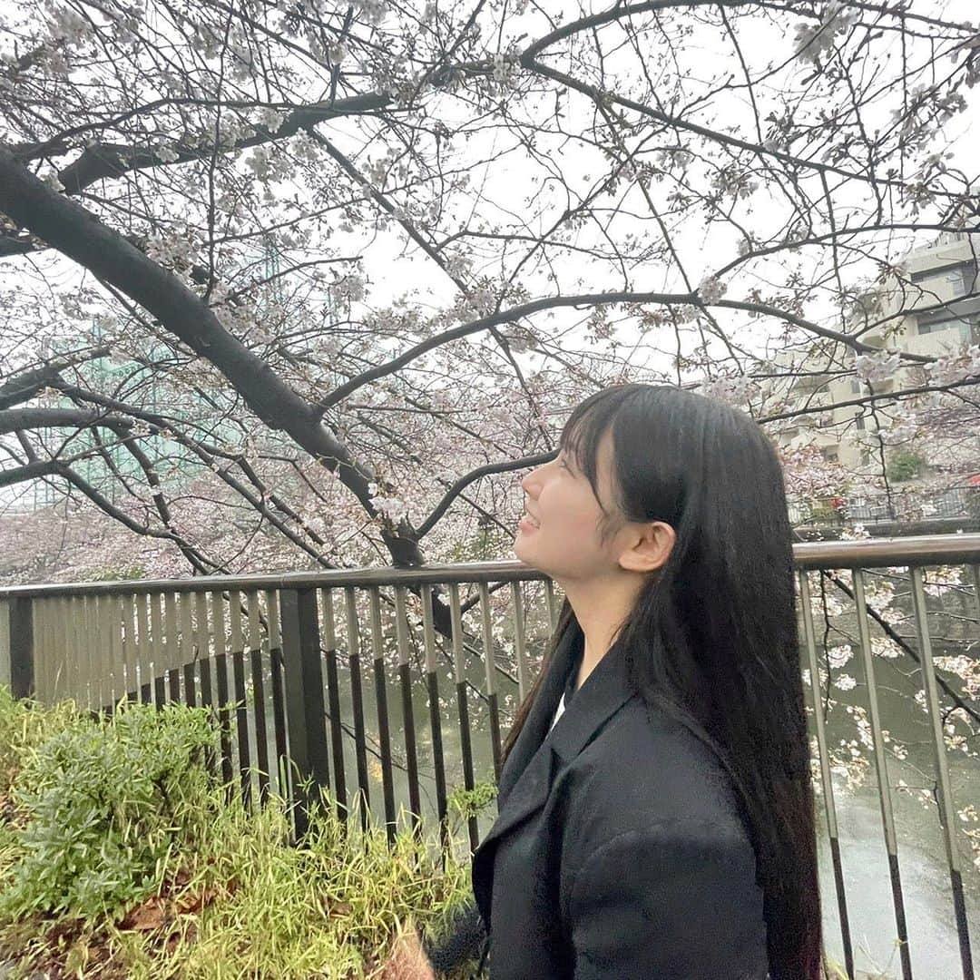 山本杏奈さんのインスタグラム写真 - (山本杏奈Instagram)「🍡🌸✨  雨だったけど桜見に行ったよ。」4月1日 22時43分 - yamamoto_anna_