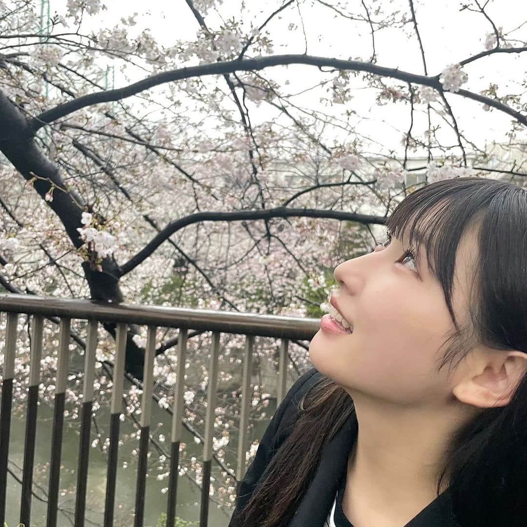 山本杏奈さんのインスタグラム写真 - (山本杏奈Instagram)「🍡🌸✨  雨だったけど桜見に行ったよ。」4月1日 22時43分 - yamamoto_anna_