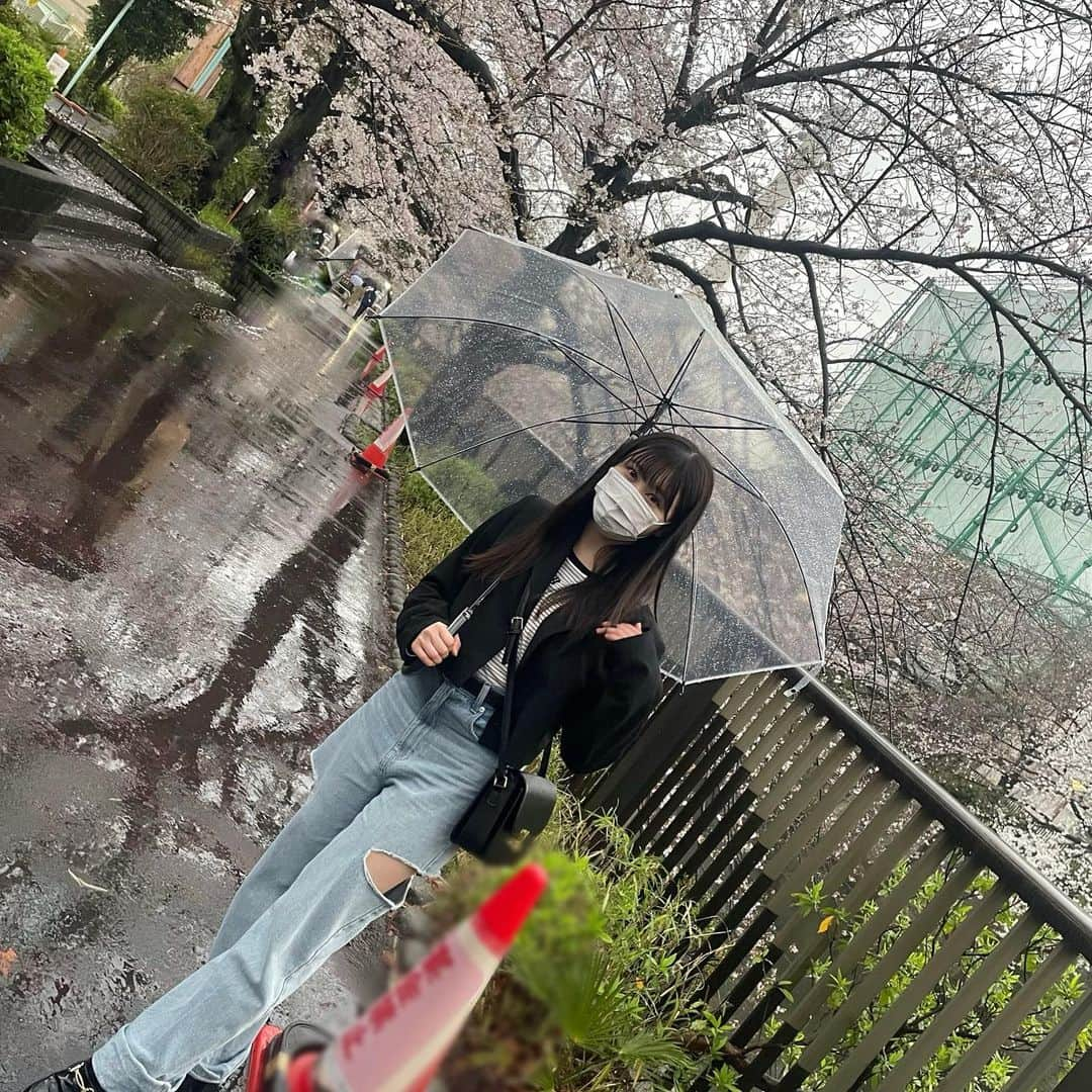 山本杏奈さんのインスタグラム写真 - (山本杏奈Instagram)「🍡🌸✨  雨だったけど桜見に行ったよ。」4月1日 22時43分 - yamamoto_anna_