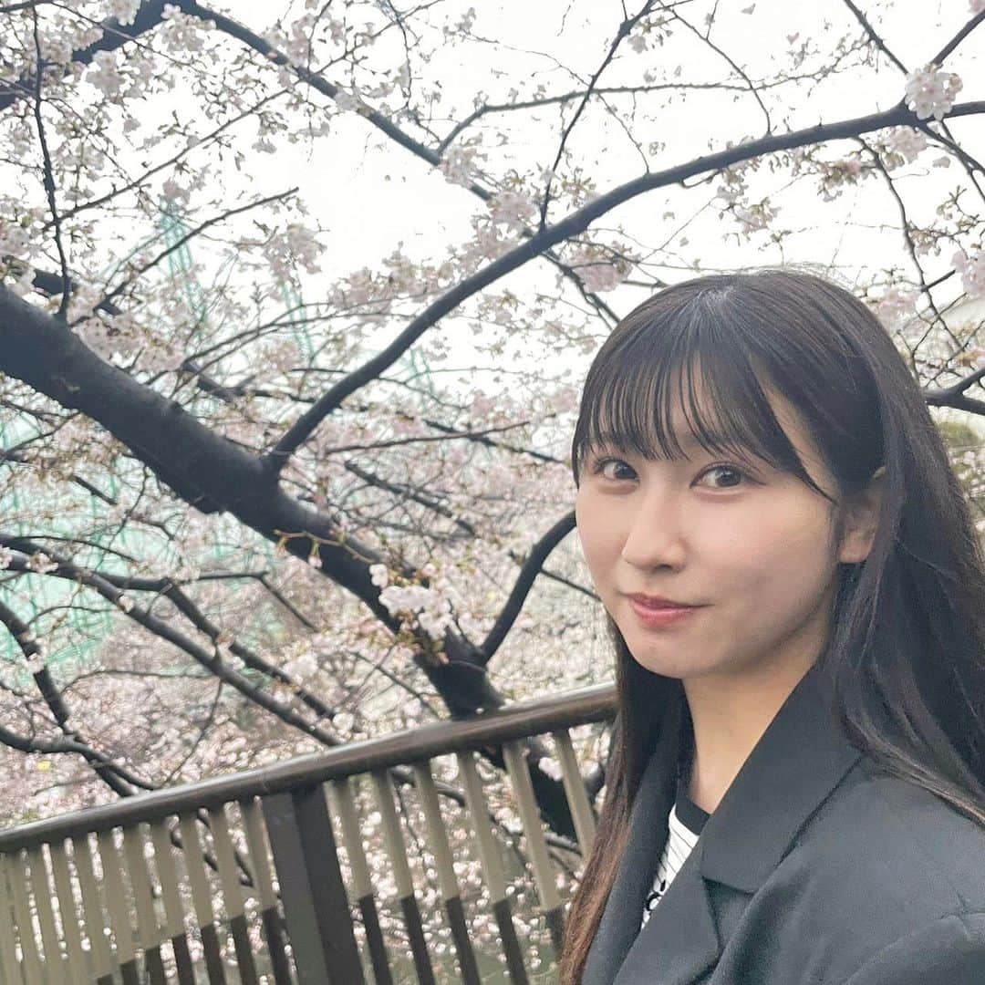 山本杏奈さんのインスタグラム写真 - (山本杏奈Instagram)「🍡🌸✨  雨だったけど桜見に行ったよ。」4月1日 22時43分 - yamamoto_anna_