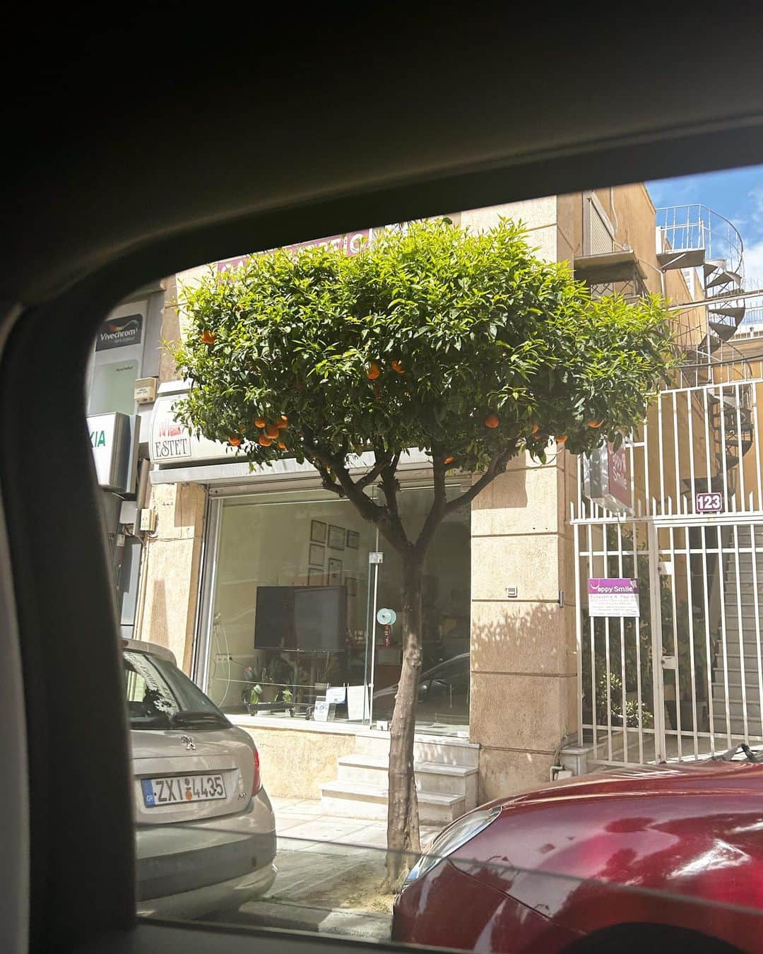 サクラ・キルシュさんのインスタグラム写真 - (サクラ・キルシュInstagram)「first day in greece!! It’s so warm and pretty here so so happy xx ギリシャに来ました！！🇬🇷 とってもいい天気(^з^)-☆」4月1日 22時47分 - sakura_kirsch