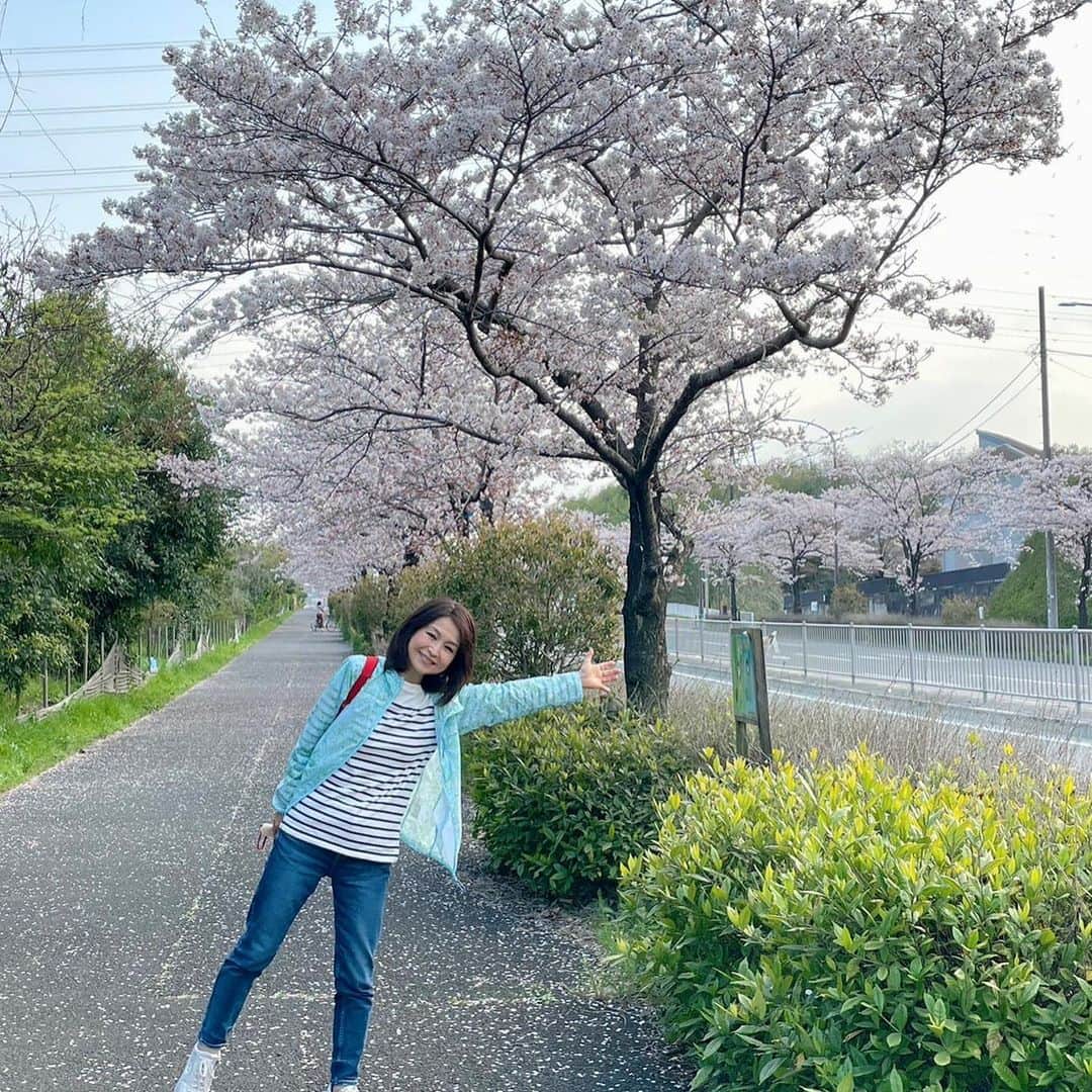 辛島美登里さんのインスタグラム写真 - (辛島美登里Instagram)「ちょっぴり遠出して山散歩を楽しみました🌸ついでにお姫様と出会い見えない敵とも戦ってきました⚔️  #八王子 #aprilfools #桜 #cherryblossom」4月1日 22時48分 - midorikarashima
